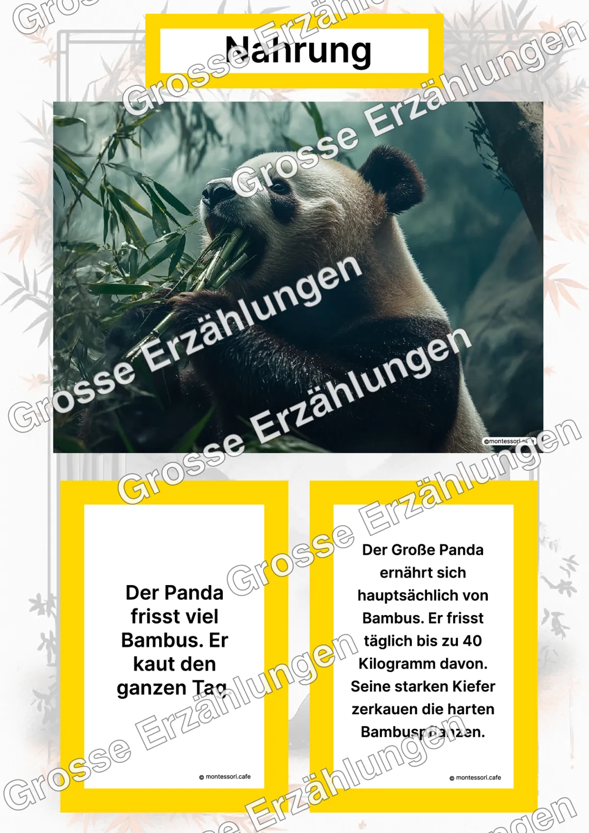 Der Große Panda - Lernkarten - Titelseite und Übersicht des Kommen des Lebens Lernmaterials