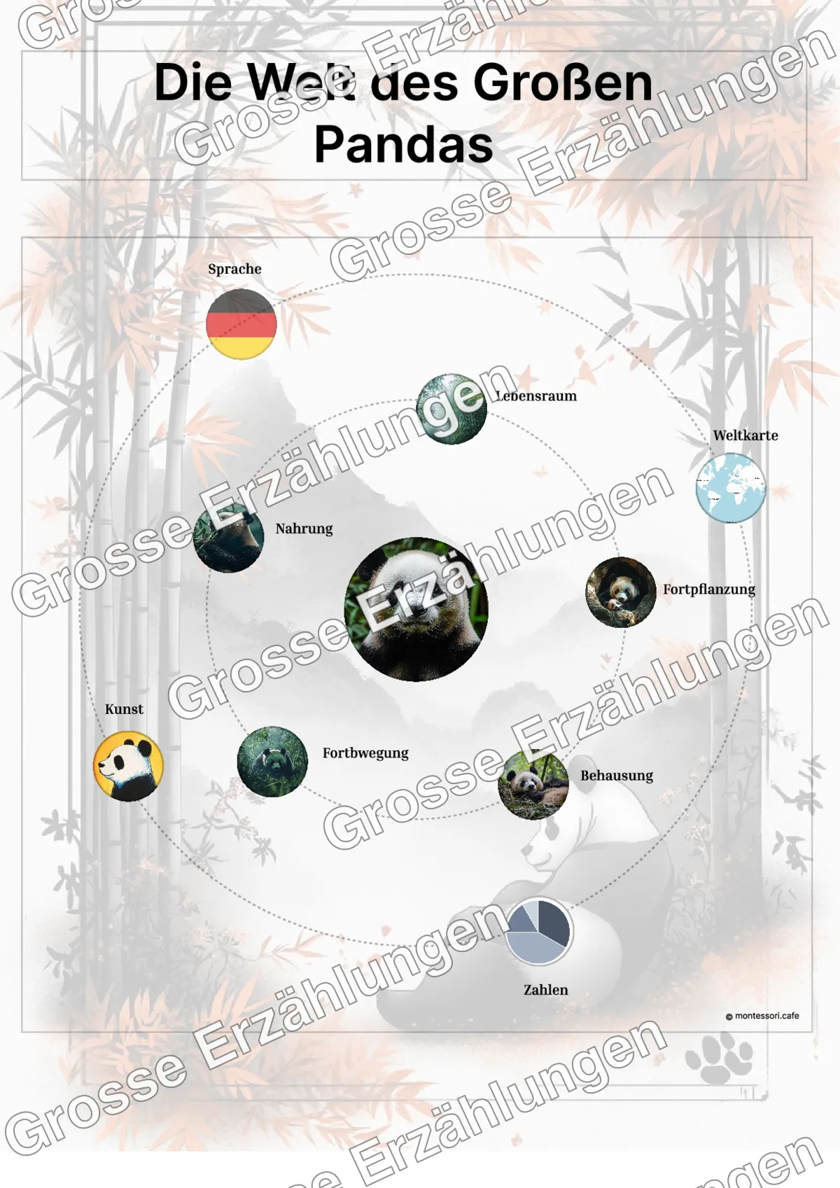 Der Große Panda - Lernkarten - Beispielseite 3 von 5 mit Kommen des Lebens Inhalten