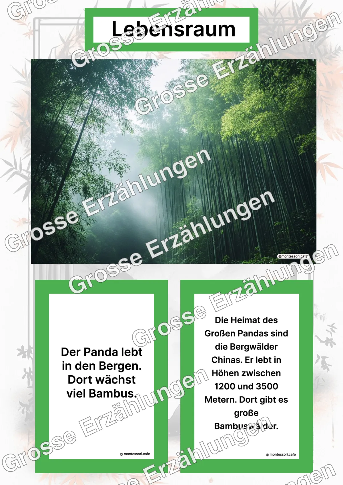 Der Große Panda - Lernkarten - Letzte Vorschauseite des PDF-Downloads