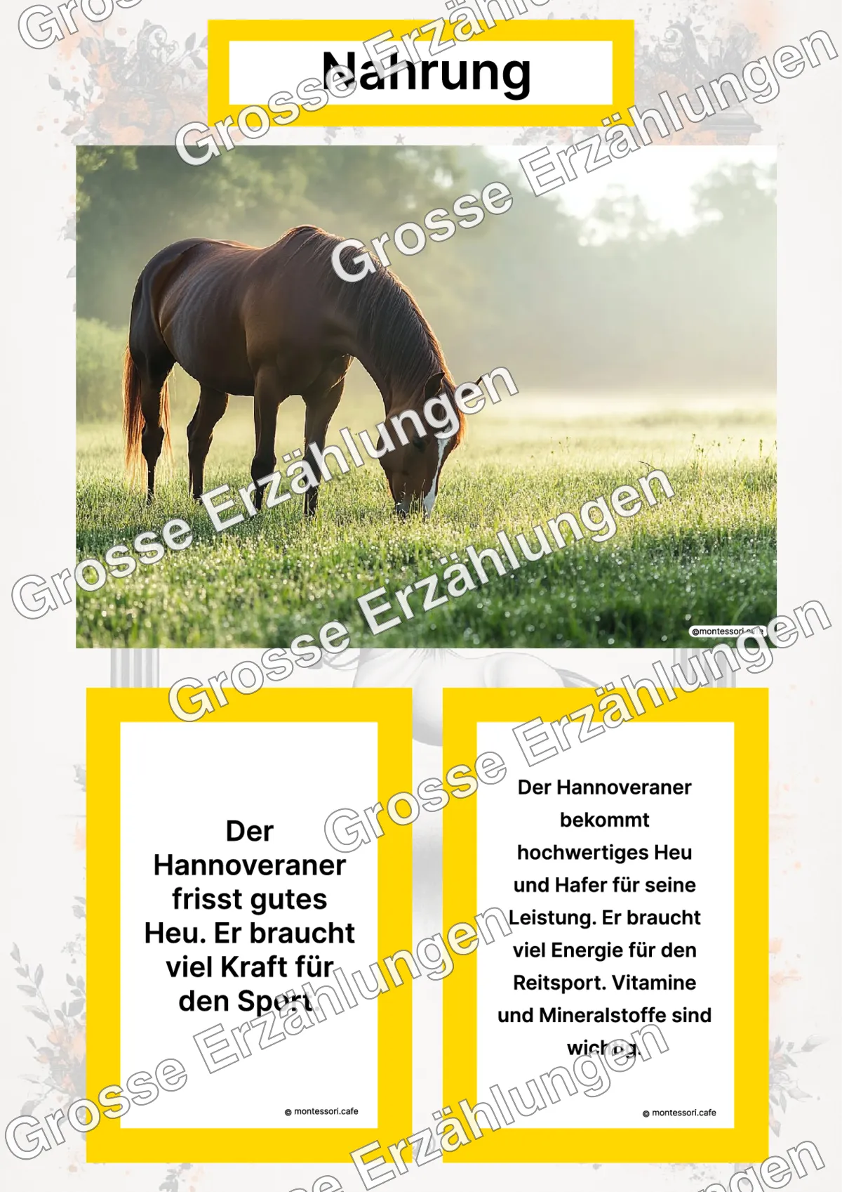 Der Hannoveraner - Lernkarten - Titelseite und Übersicht des Kommen des Lebens Lernmaterials