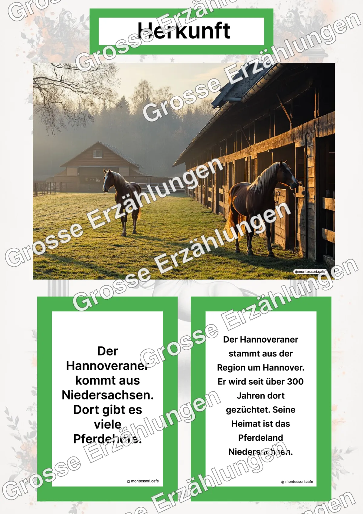 Der Hannoveraner - Lernkarten - Letzte Vorschauseite des PDF-Downloads