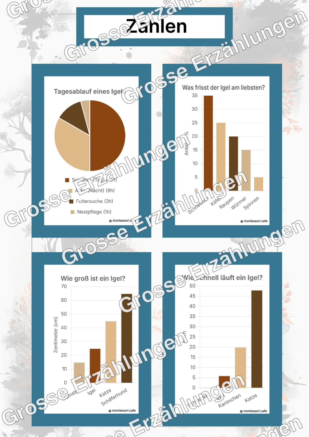 Der Igel - Lernkarten - Beispielseite 4 von 5 mit Kommen des Lebens Inhalten