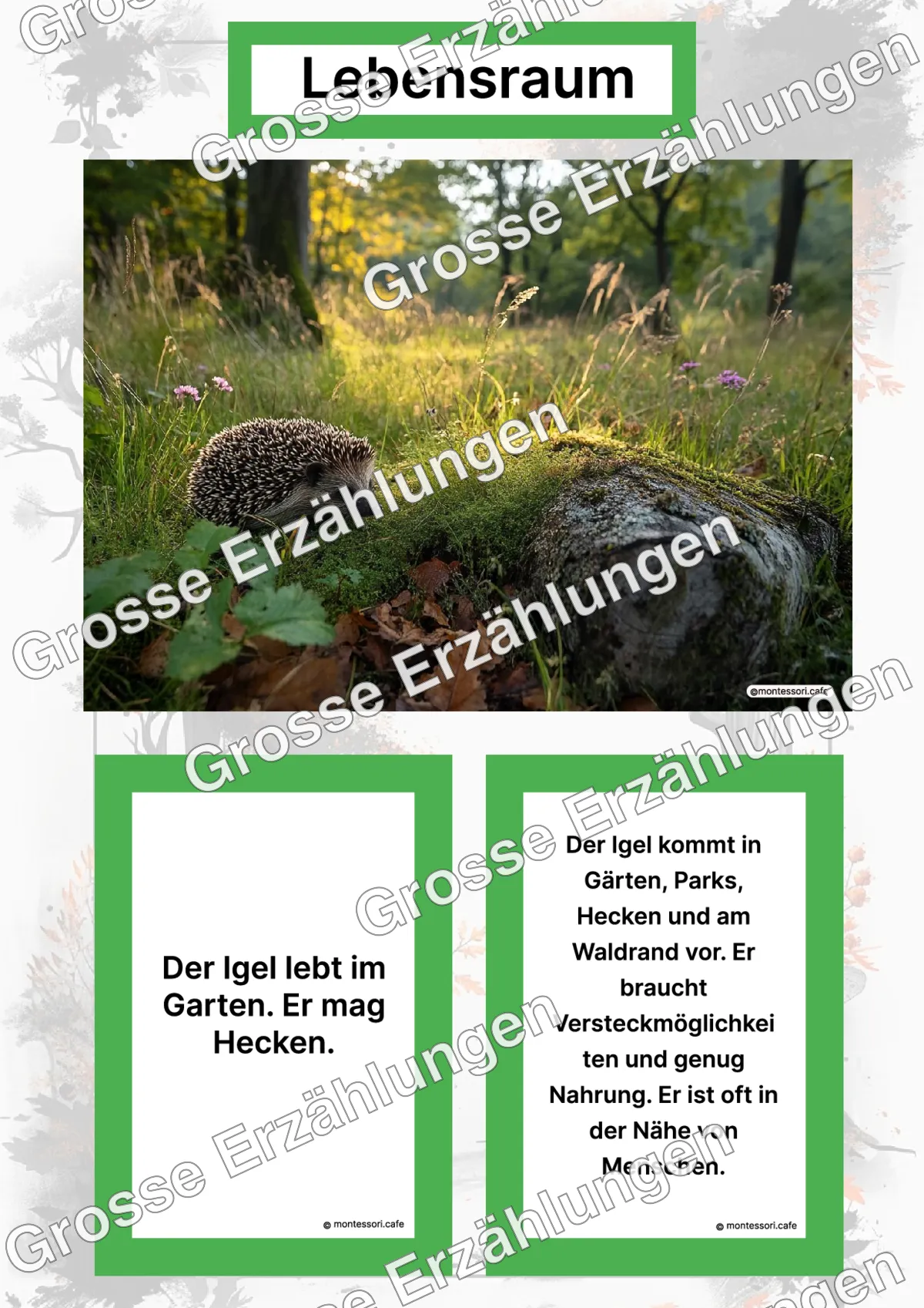 Der Igel - Lernkarten - Letzte Vorschauseite des PDF-Downloads