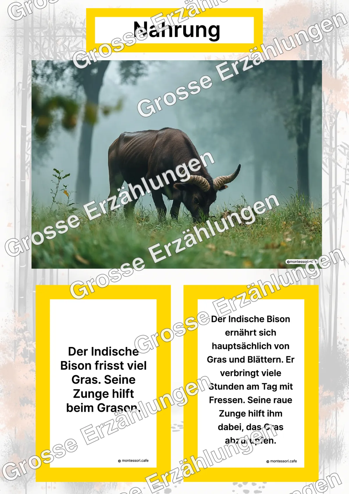 Der Indische Bison - Lernkarten - Titelseite und Übersicht des Kommen des Lebens Lernmaterials