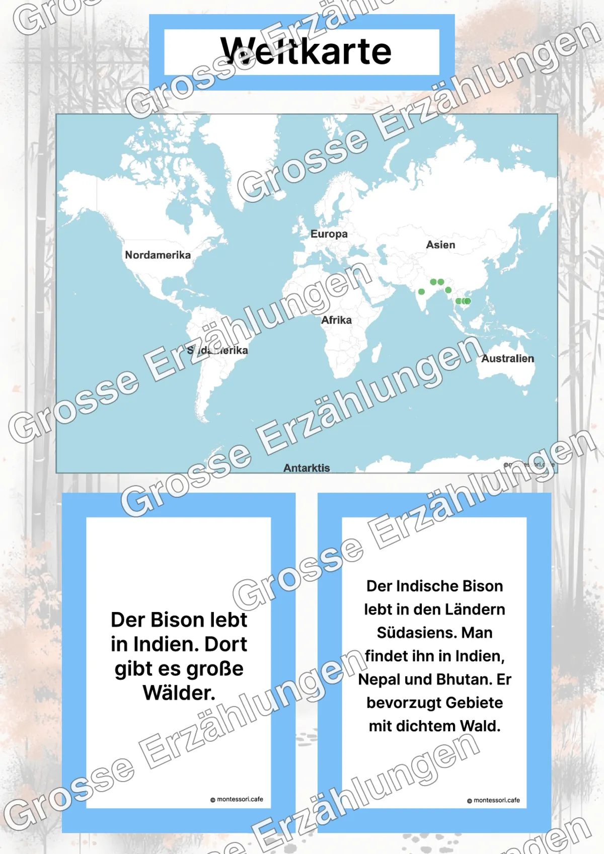 Der Indische Bison - Lernkarten - Inhaltsbeispiel Seite 2 mit Montessori Lehrmaterial
