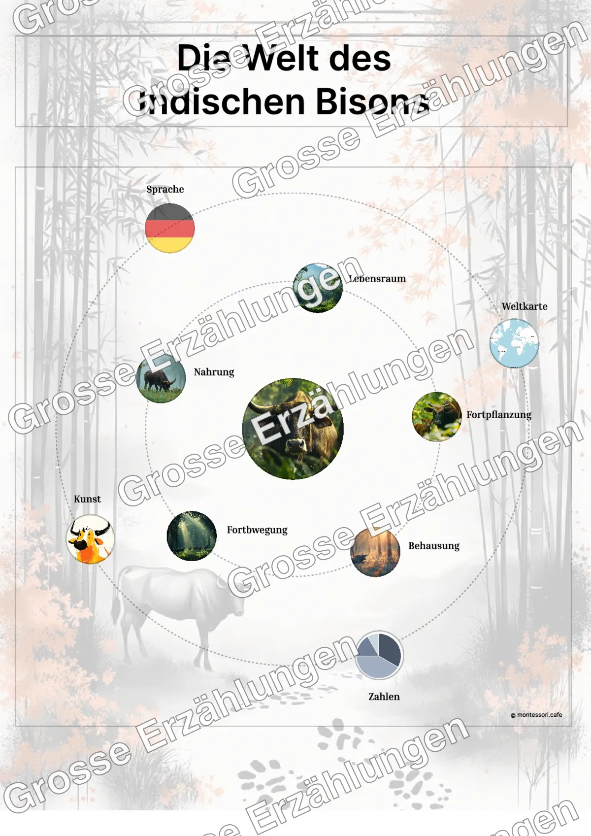Der Indische Bison - Lernkarten - Beispielseite 3 von 5 mit Kommen des Lebens Inhalten