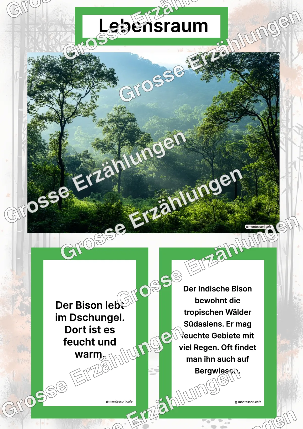 Der Indische Bison - Lernkarten - Letzte Vorschauseite des PDF-Downloads