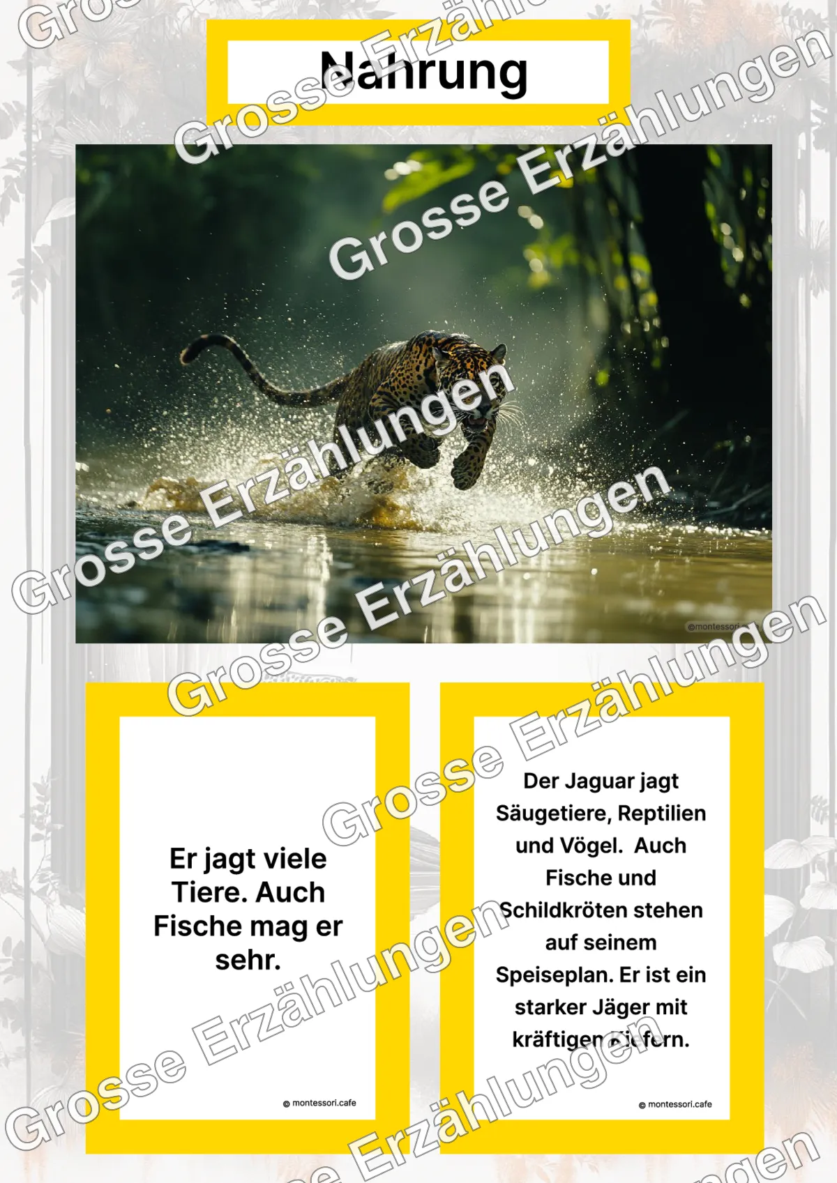 Der Jaguar - Lernkarten - Titelseite und Übersicht des Kommen des Lebens Lernmaterials