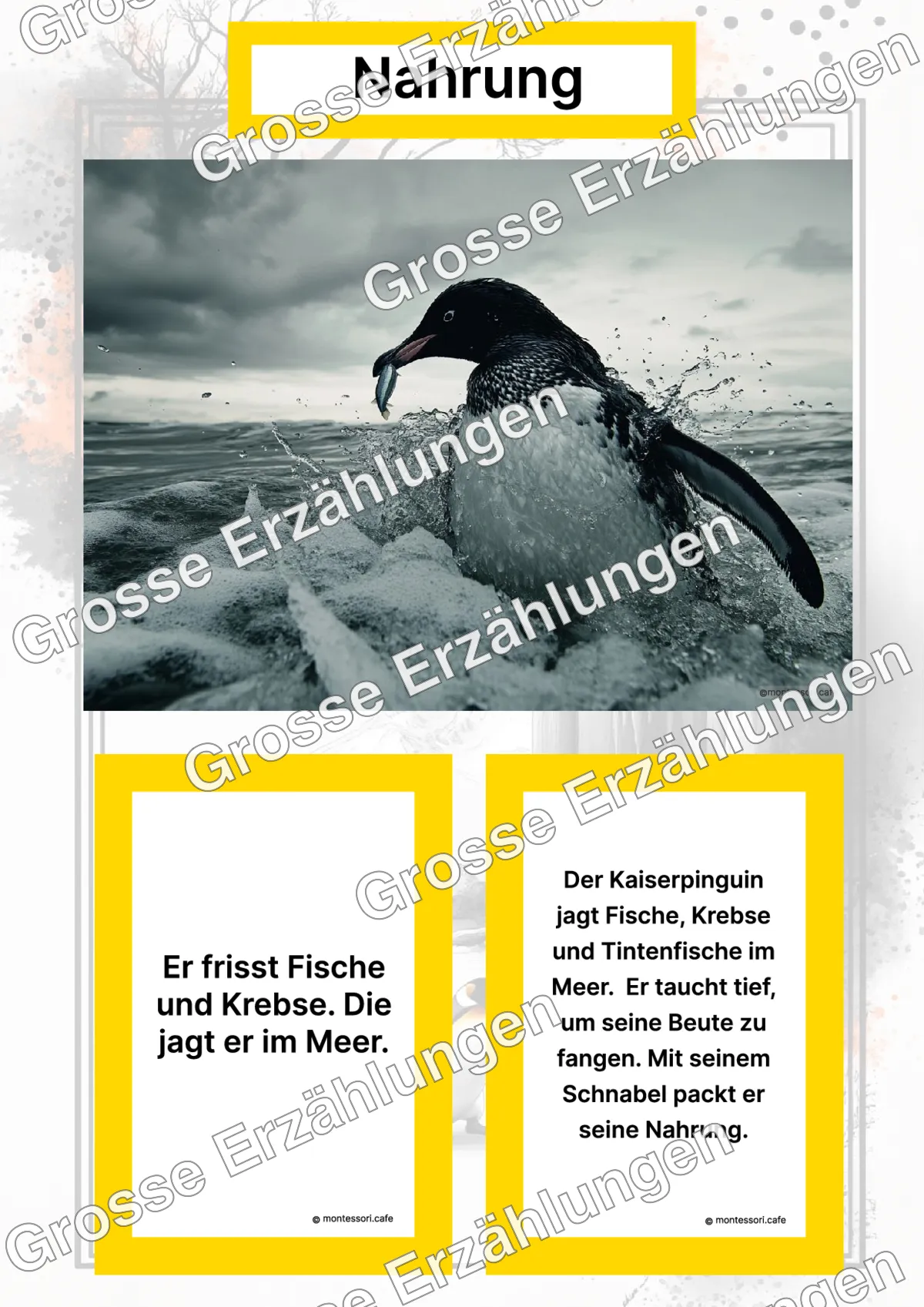 Der Kaiserpinguin - Lernkarten - Titelseite und Übersicht des Kommen des Lebens Lernmaterials