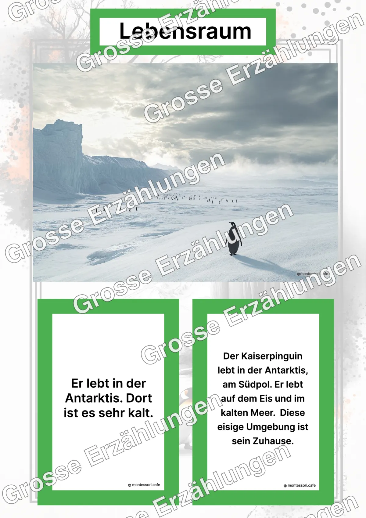 Der Kaiserpinguin - Lernkarten - Letzte Vorschauseite des PDF-Downloads