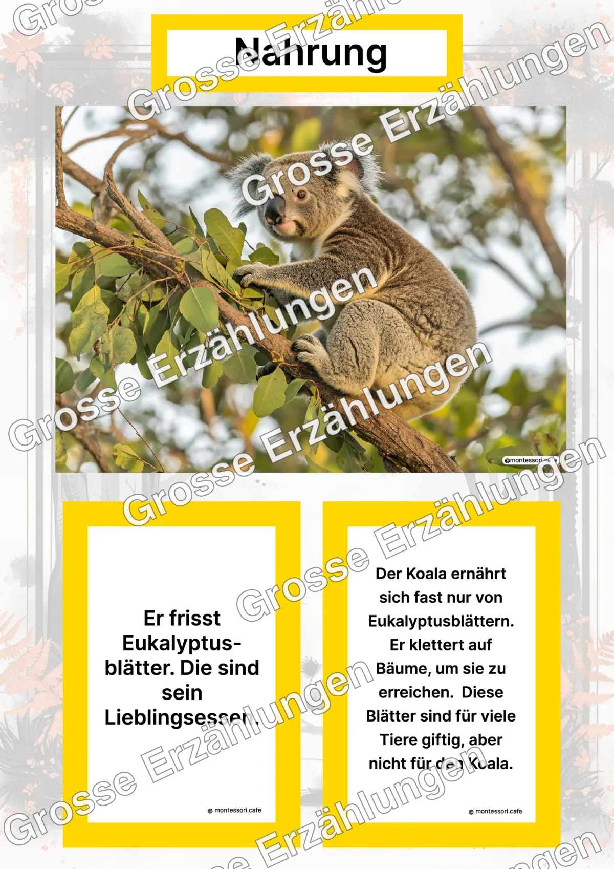 Der Koala - Lernkarten - Titelseite und Übersicht des Kommen des Lebens Lernmaterials