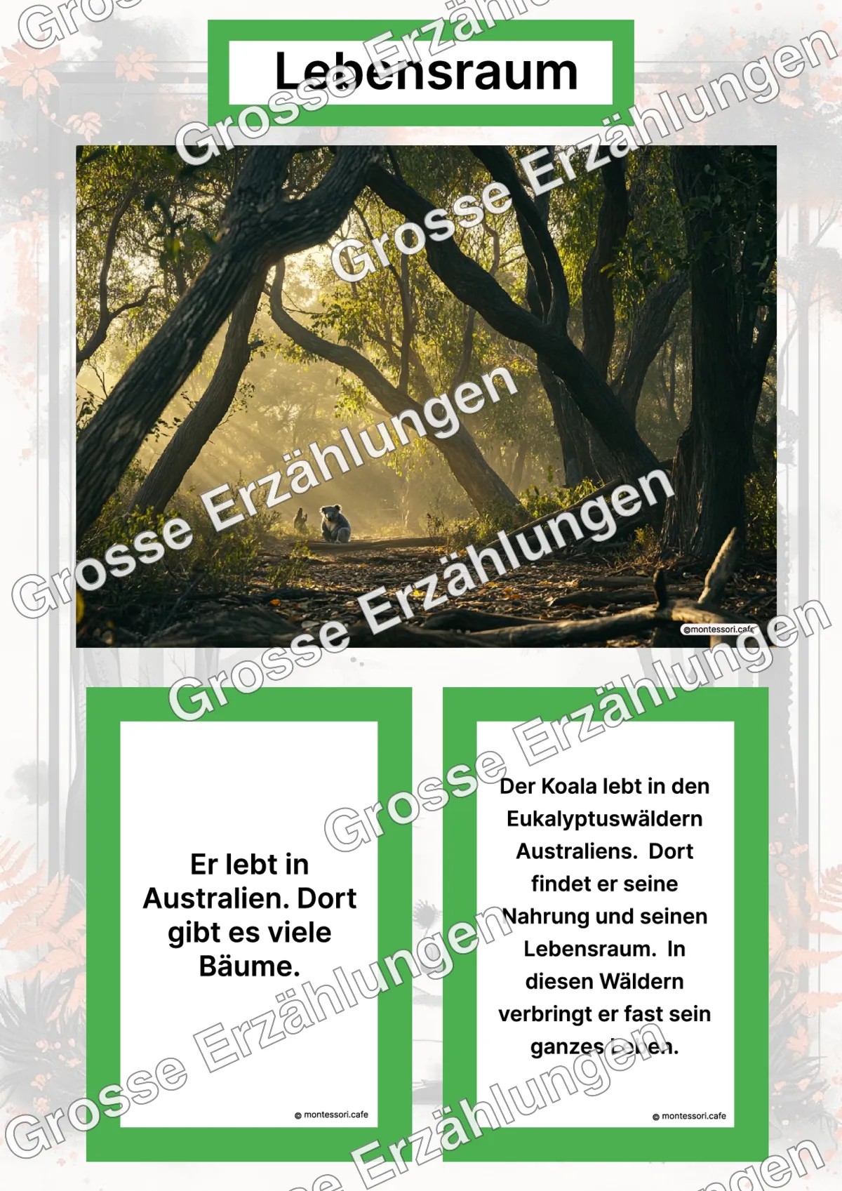 Der Koala - Lernkarten - Letzte Vorschauseite des PDF-Downloads