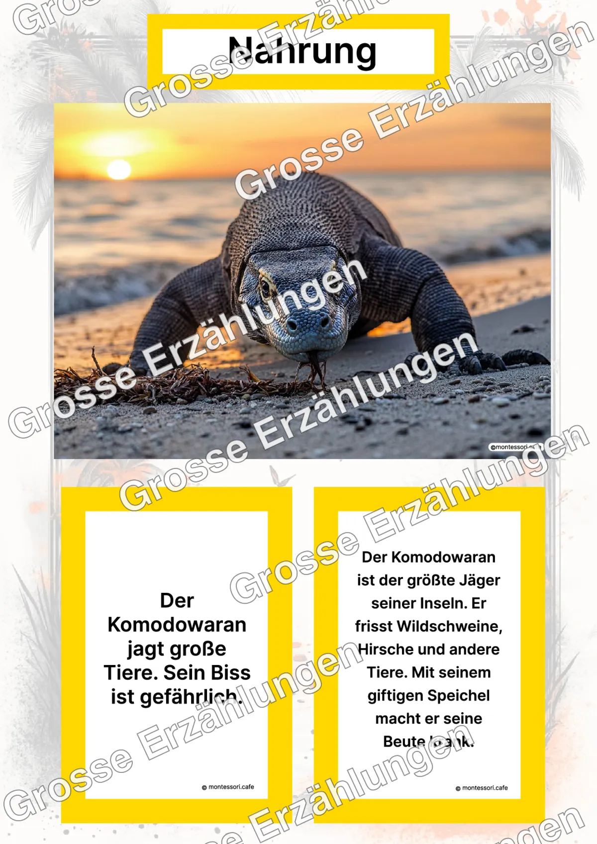 Der Komodowaran - Lernkarten - Titelseite und Übersicht des Kommen des Lebens Lernmaterials