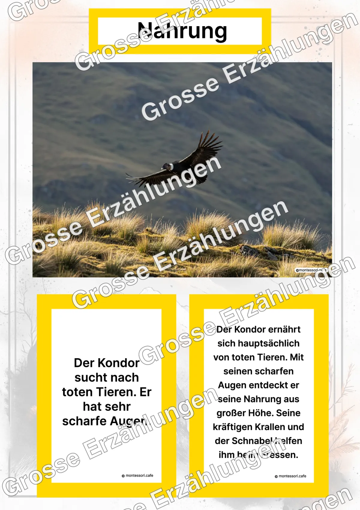 Der Kondor - Lernkarten - Titelseite und Übersicht des Kommen des Lebens Lernmaterials