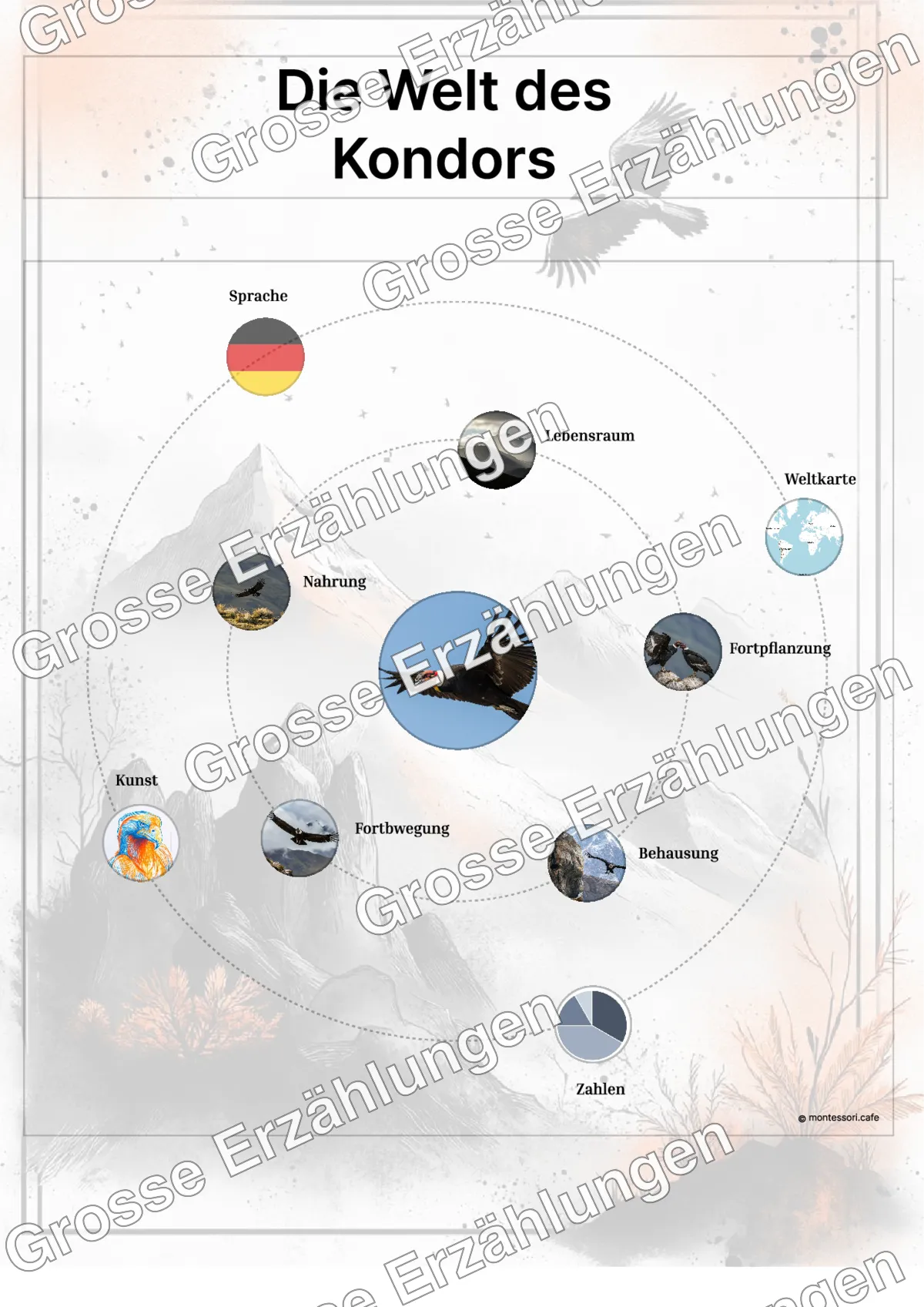 Der Kondor - Lernkarten - Beispielseite 3 von 5 mit Kommen des Lebens Inhalten