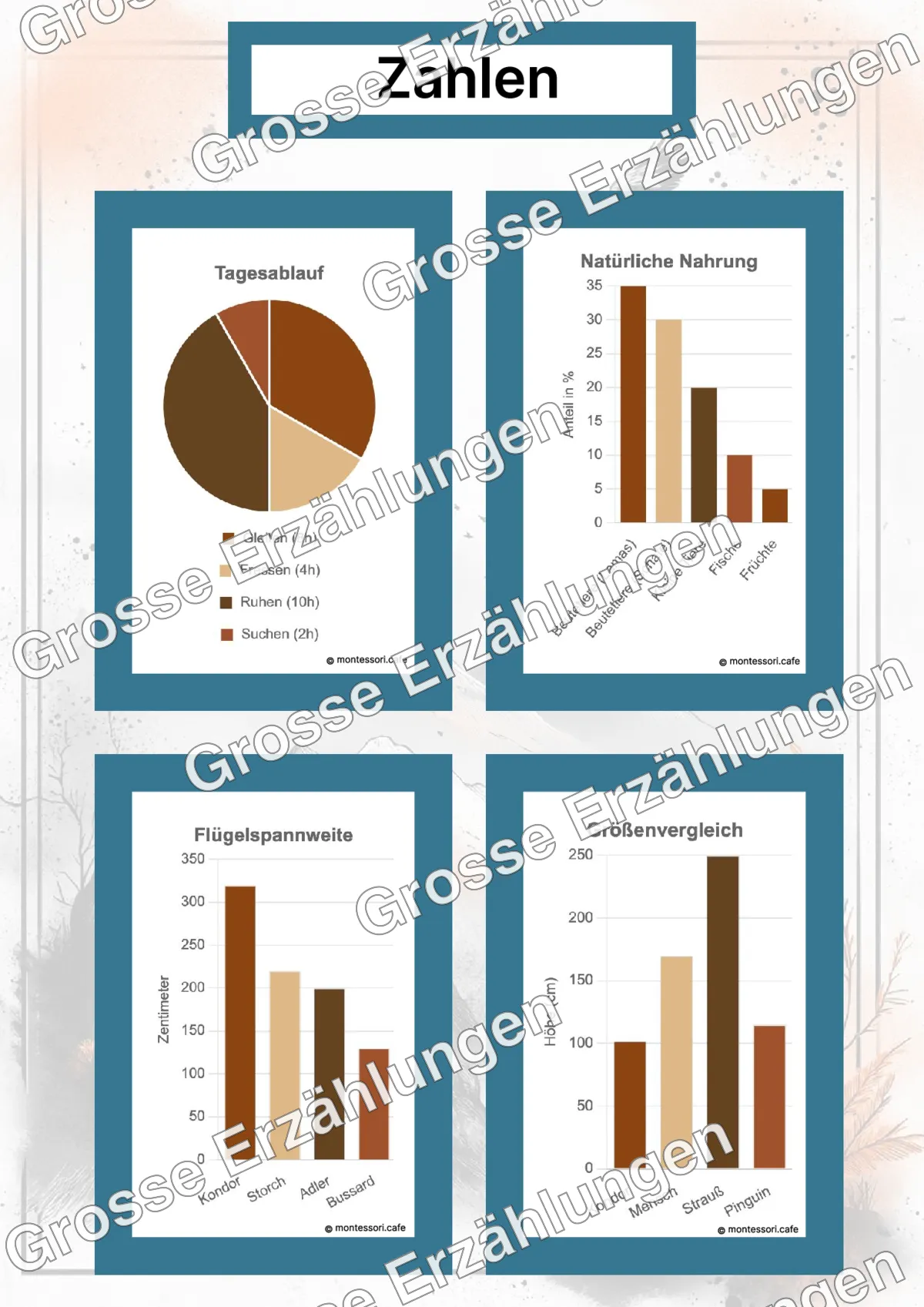 Der Kondor - Lernkarten - Beispielseite 4 von 5 mit Kommen des Lebens Inhalten