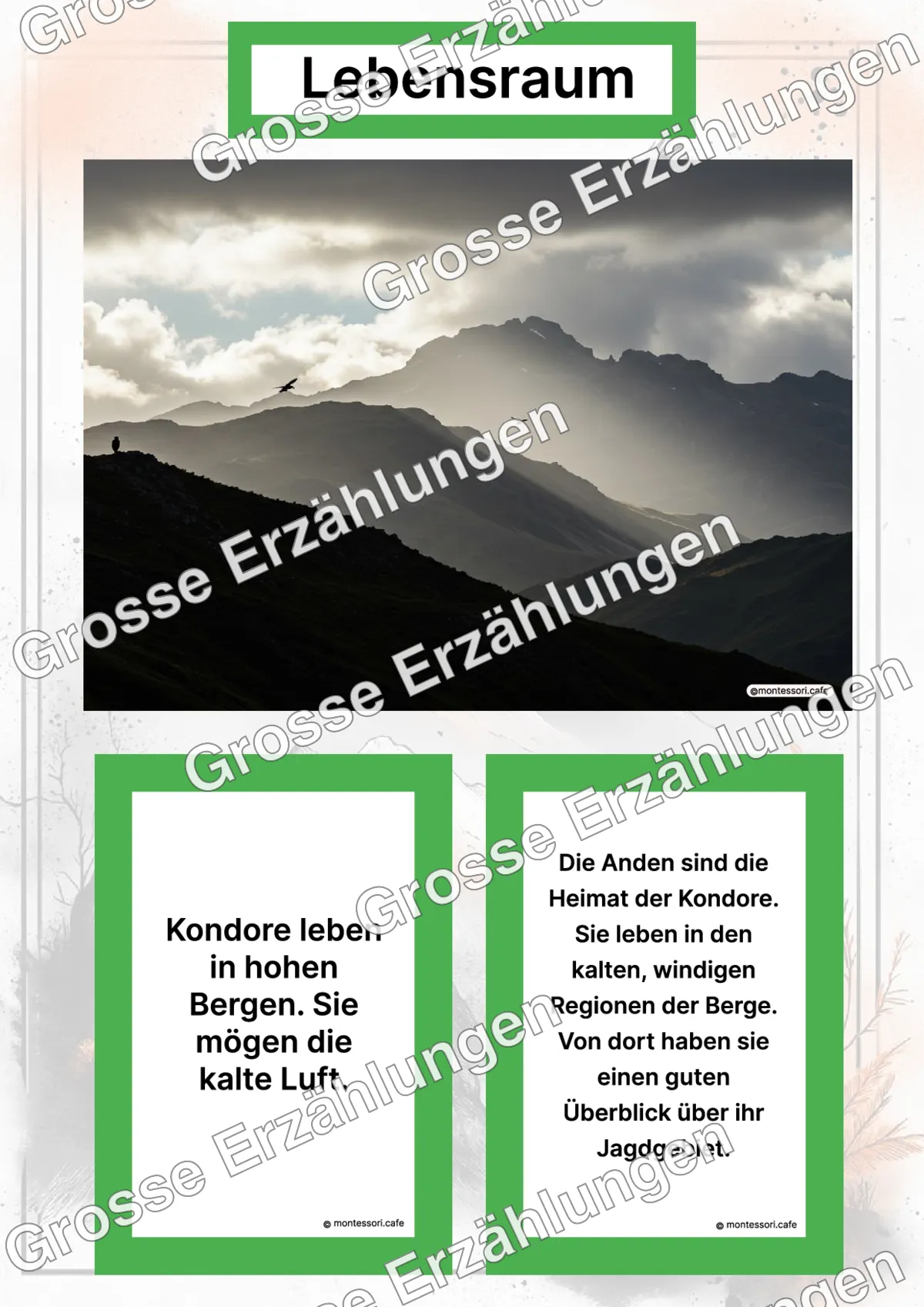 Der Kondor - Lernkarten - Letzte Vorschauseite des PDF-Downloads