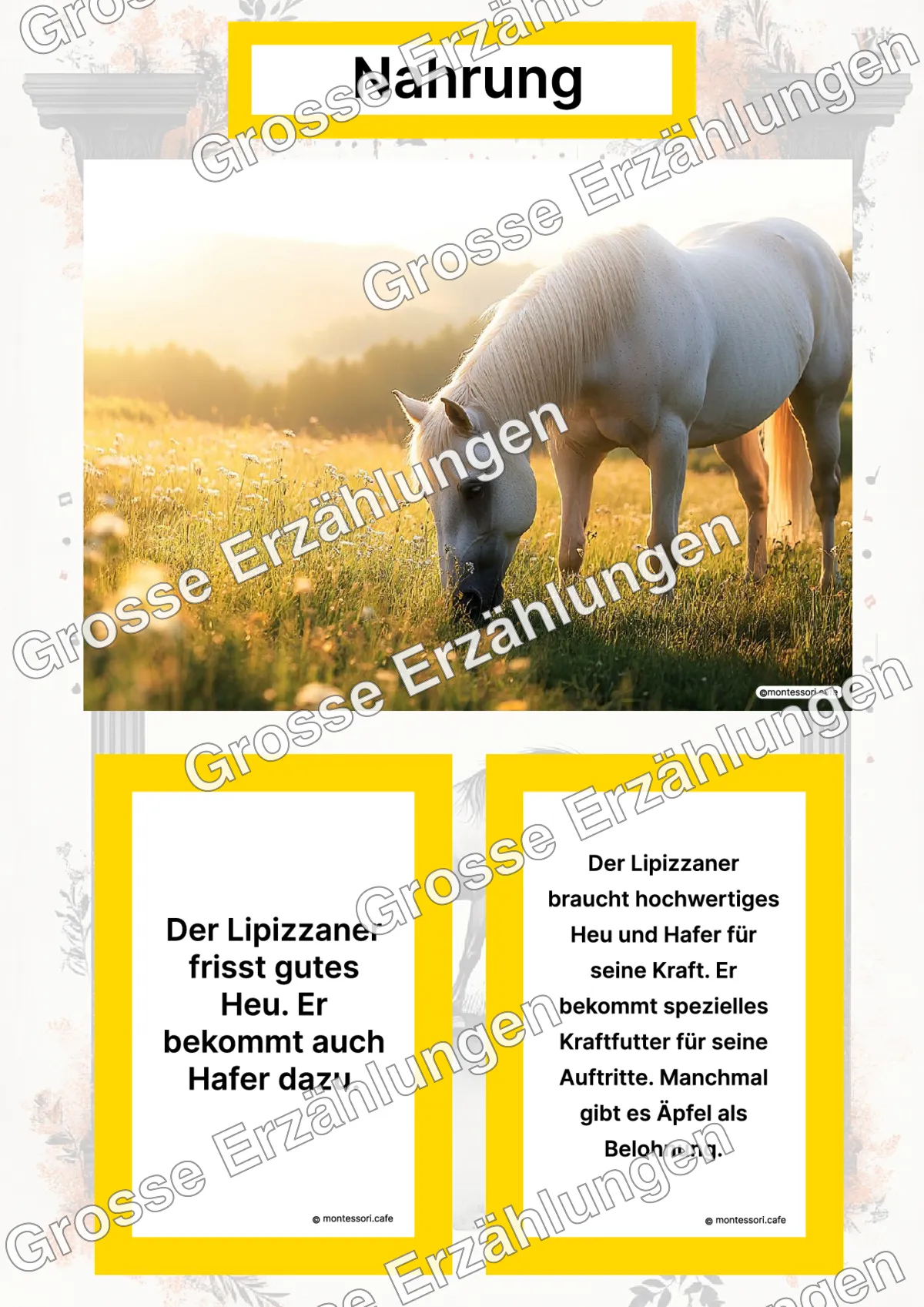 Der Lipizzaner - Lernkarten - Titelseite und Übersicht des Kommen des Lebens Lernmaterials