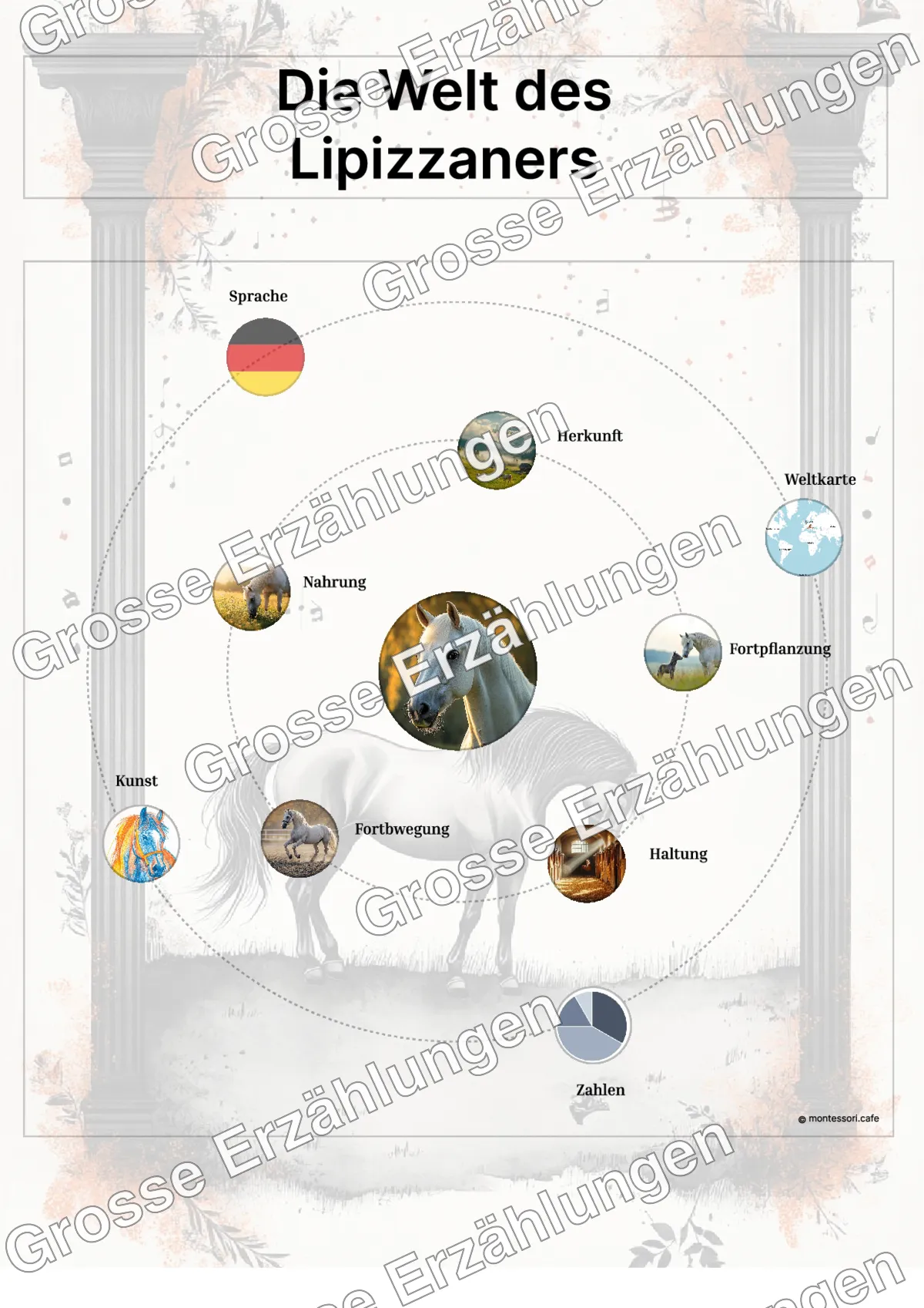 Der Lipizzaner - Lernkarten - Beispielseite 3 von 5 mit Kommen des Lebens Inhalten