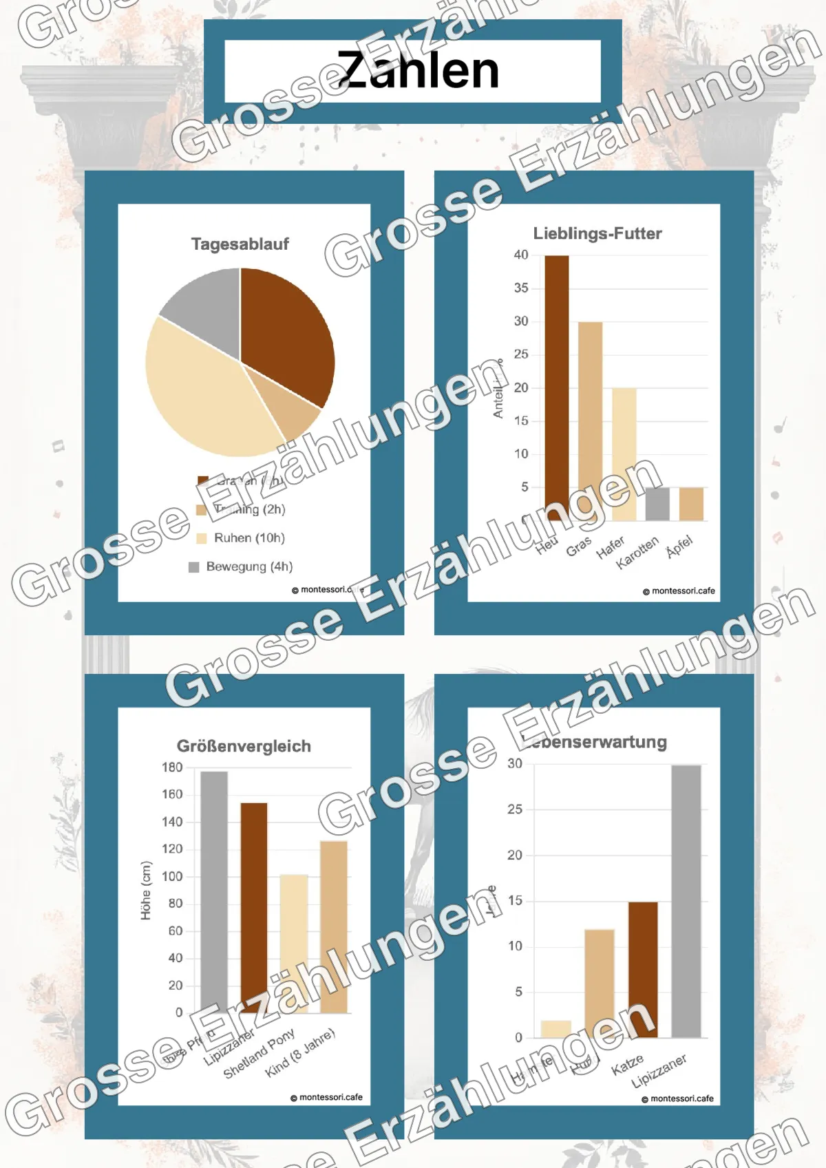 Der Lipizzaner - Lernkarten - Beispielseite 4 von 5 mit Kommen des Lebens Inhalten