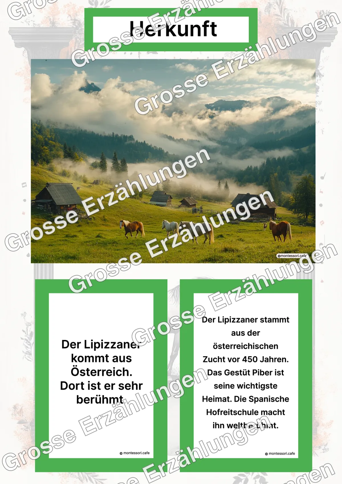Der Lipizzaner - Lernkarten - Letzte Vorschauseite des PDF-Downloads