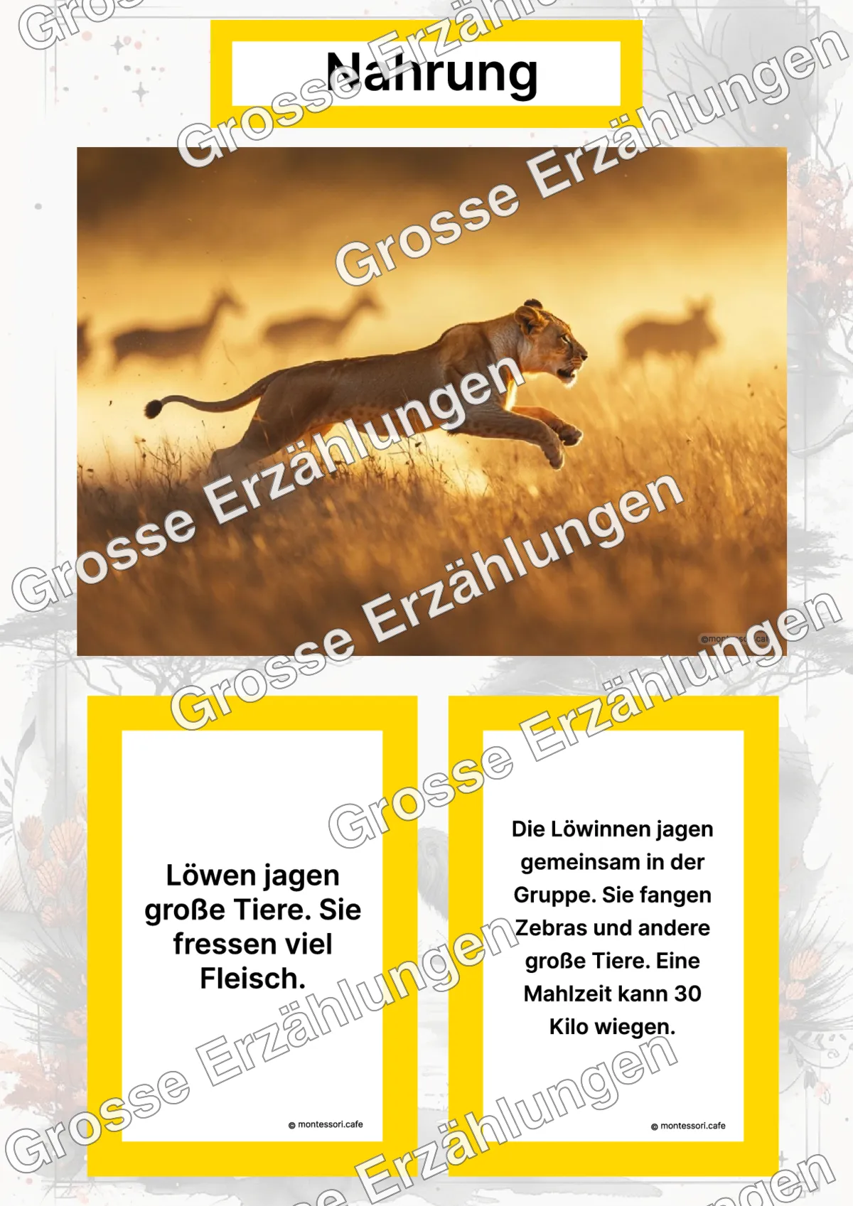 Der Löwe - Lernkarten - Titelseite und Übersicht des Kommen des Lebens Lernmaterials