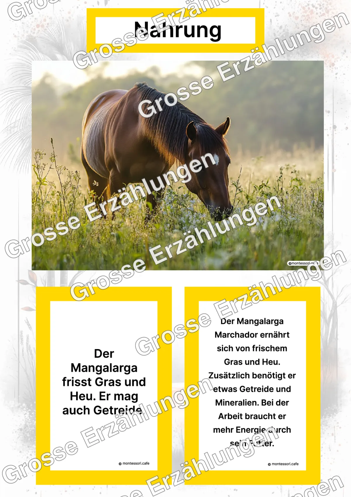 Der Mangalarga Marchador - Lernkarten - Titelseite und Übersicht des Kommen des Lebens Lernmaterials