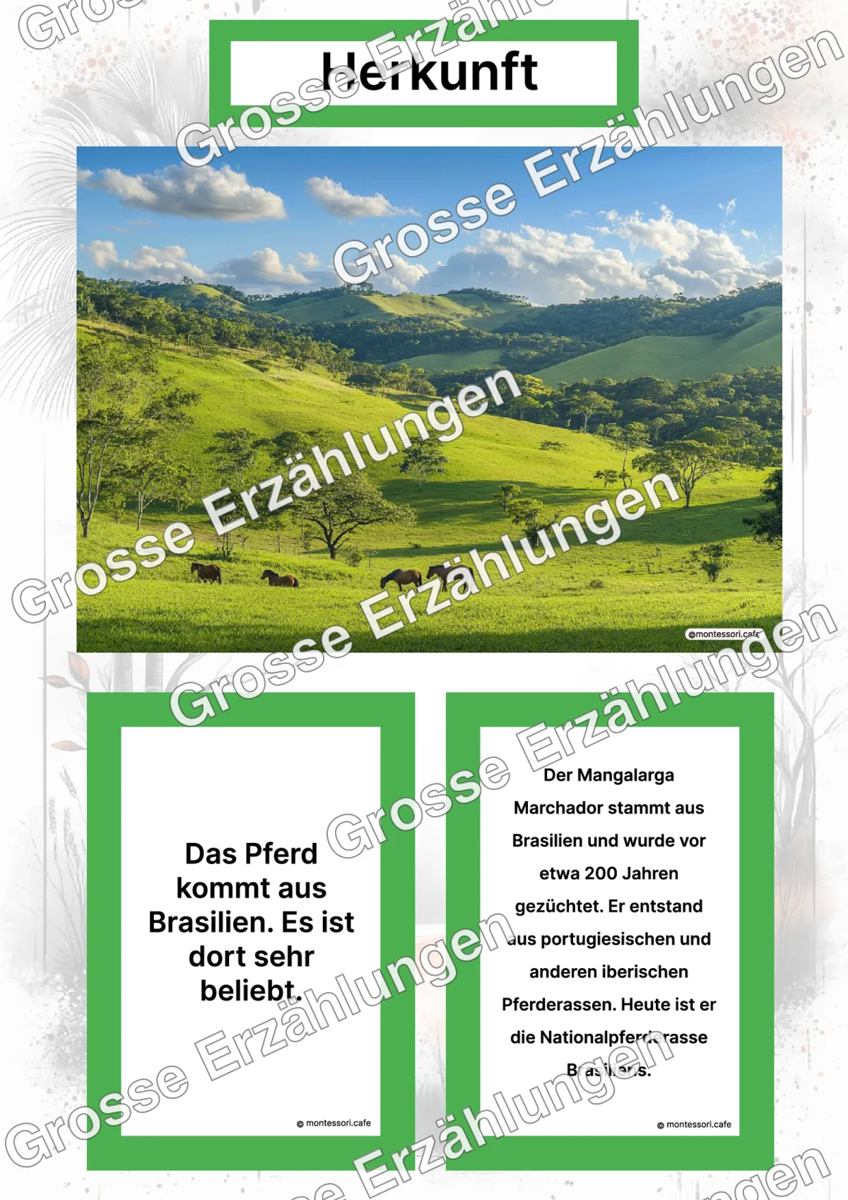 Der Mangalarga Marchador - Lernkarten - Letzte Vorschauseite des PDF-Downloads