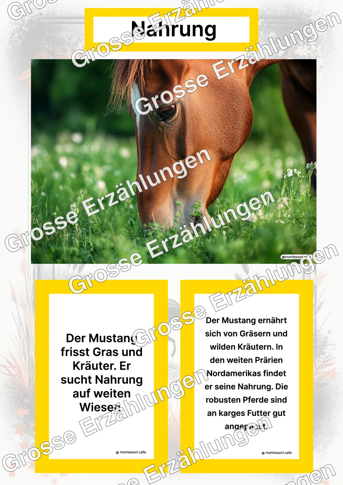 Der Mustang - Lernkarten - Titelseite und Übersicht des Kommen des Lebens Lernmaterials