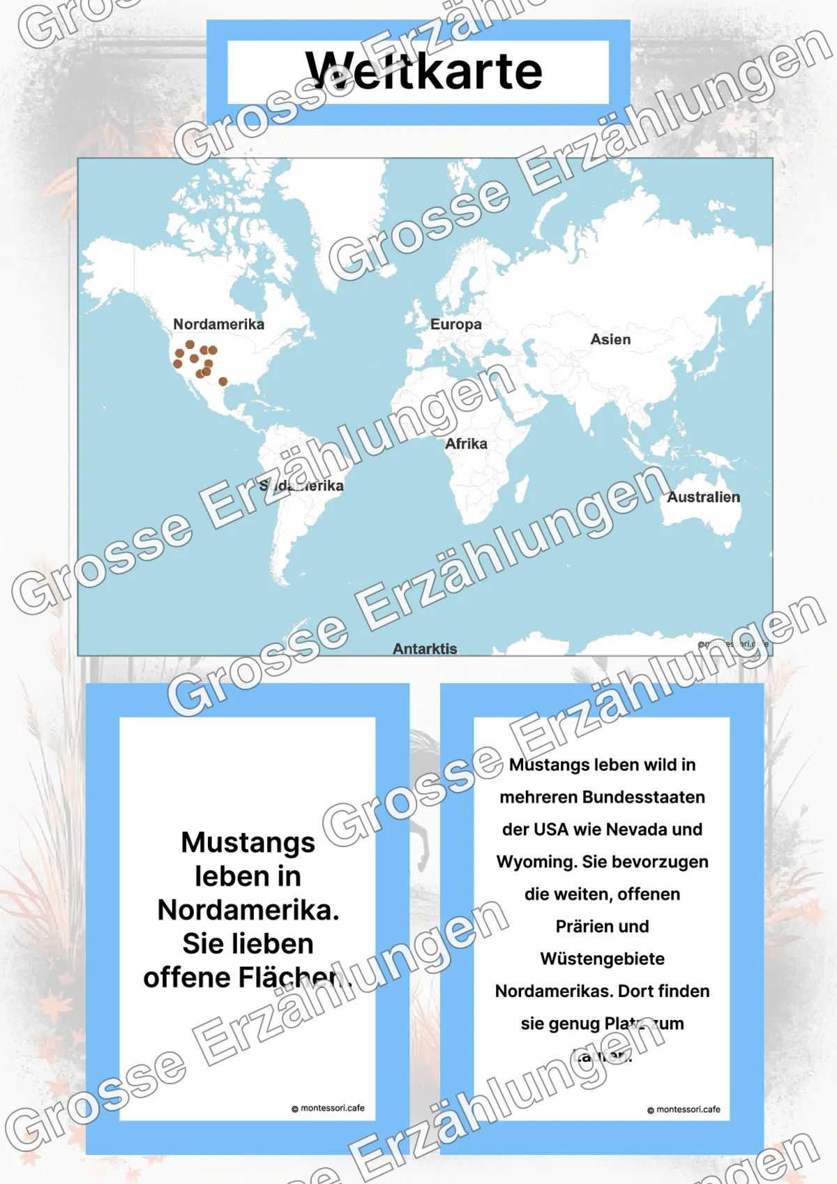 Der Mustang - Lernkarten - Inhaltsbeispiel Seite 2 mit Montessori Lehrmaterial