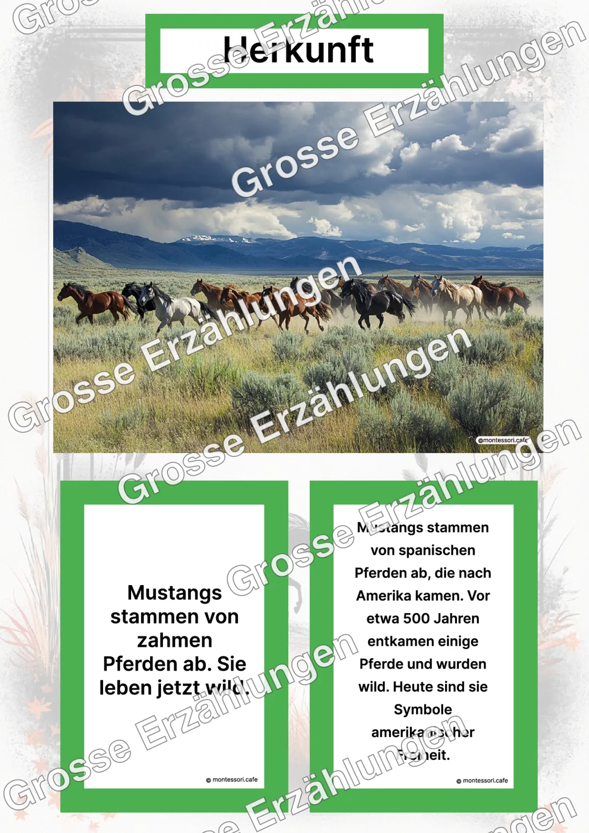 Der Mustang - Lernkarten - Letzte Vorschauseite des PDF-Downloads