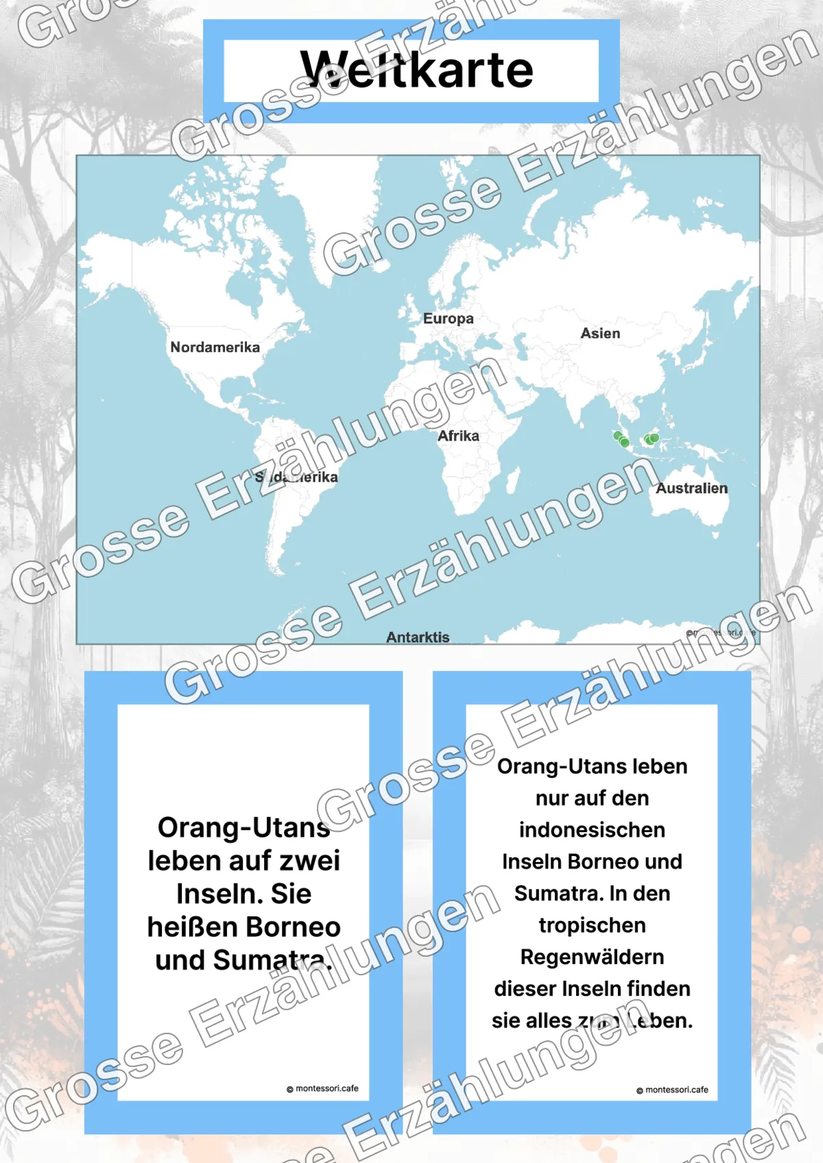 Der Orang-Utan - Lernkarten - Inhaltsbeispiel Seite 2 mit Montessori Lehrmaterial