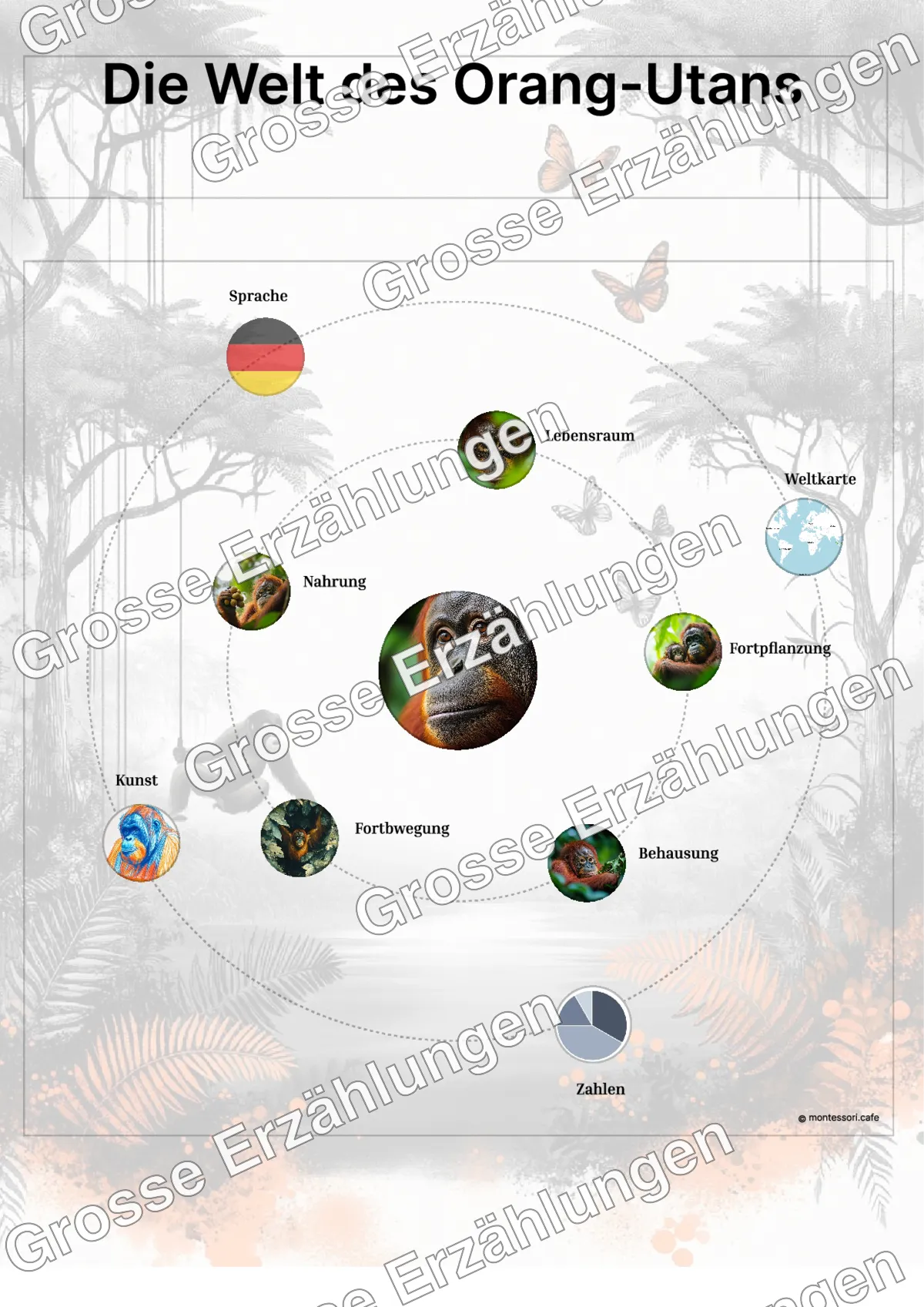 Der Orang-Utan - Lernkarten - Beispielseite 3 von 5 mit Kommen des Lebens Inhalten
