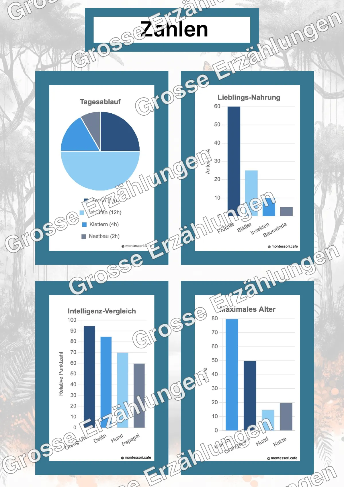 Der Orang-Utan - Lernkarten - Beispielseite 4 von 5 mit Kommen des Lebens Inhalten