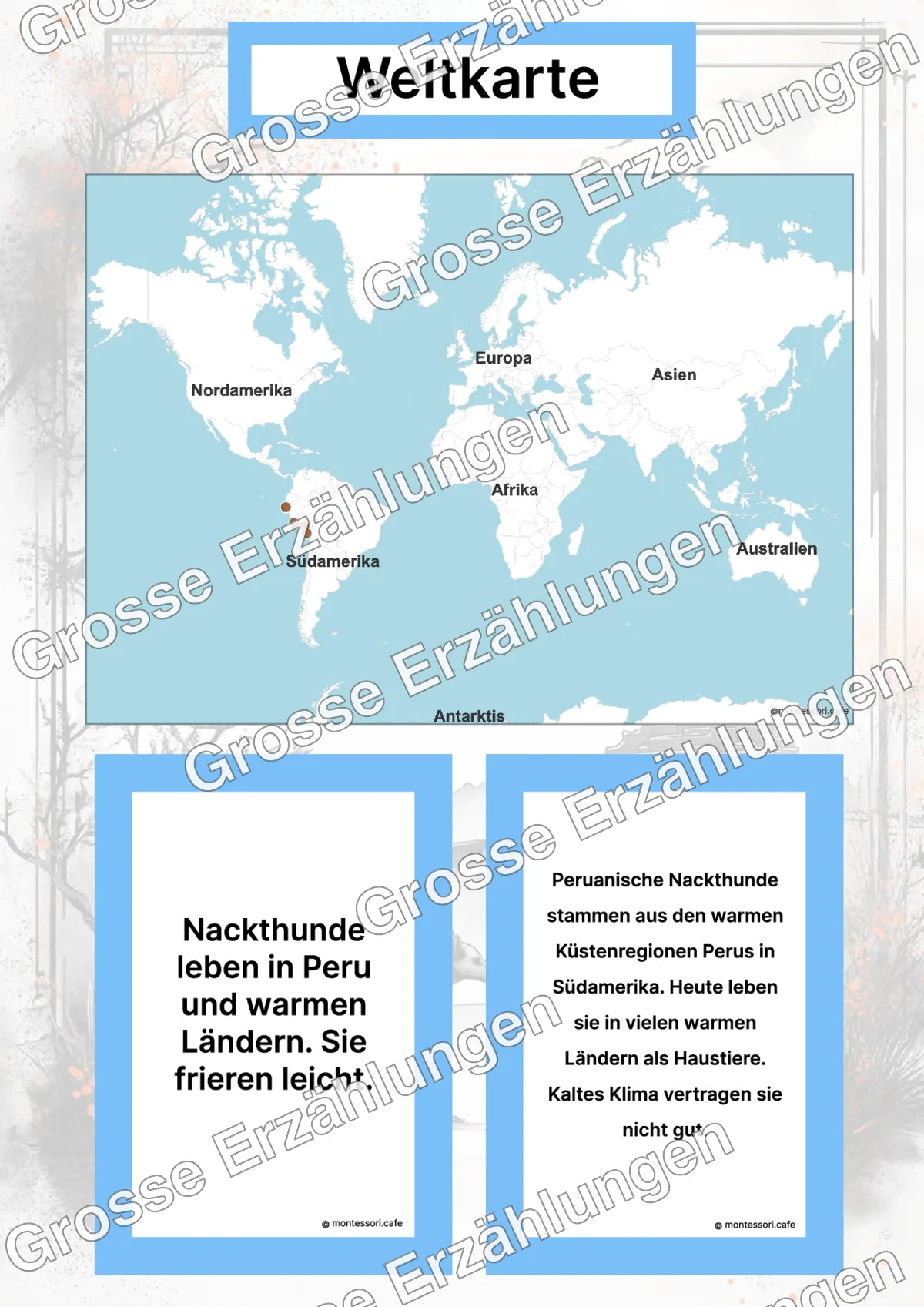 Der Peruanische Nackthund - Lernkarten - Inhaltsbeispiel Seite 2 mit Montessori Lehrmaterial