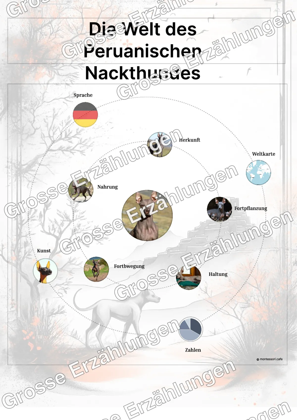 Der Peruanische Nackthund - Lernkarten - Beispielseite 3 von 5 mit Kommen des Lebens Inhalten