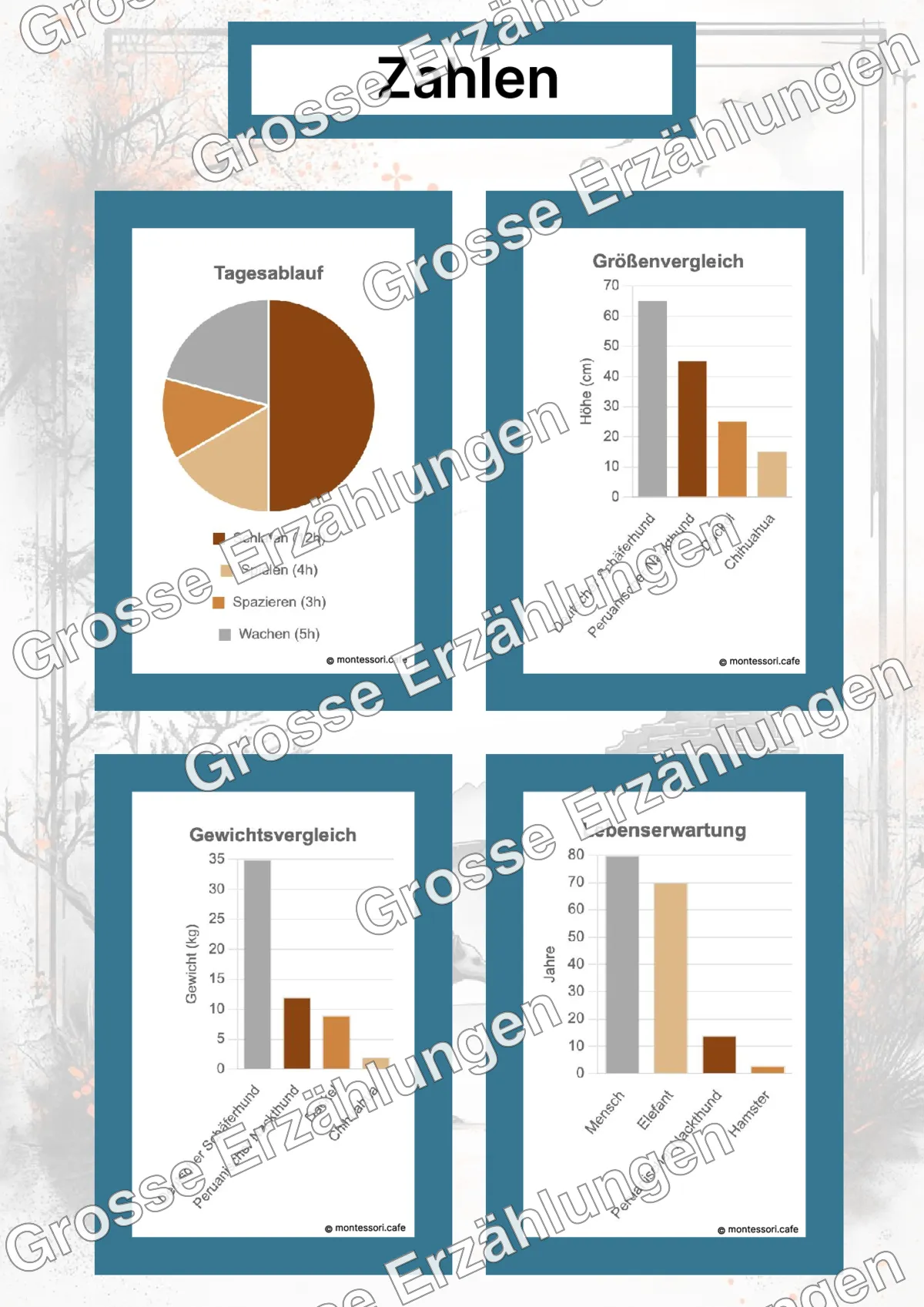 Der Peruanische Nackthund - Lernkarten - Beispielseite 4 von 5 mit Kommen des Lebens Inhalten