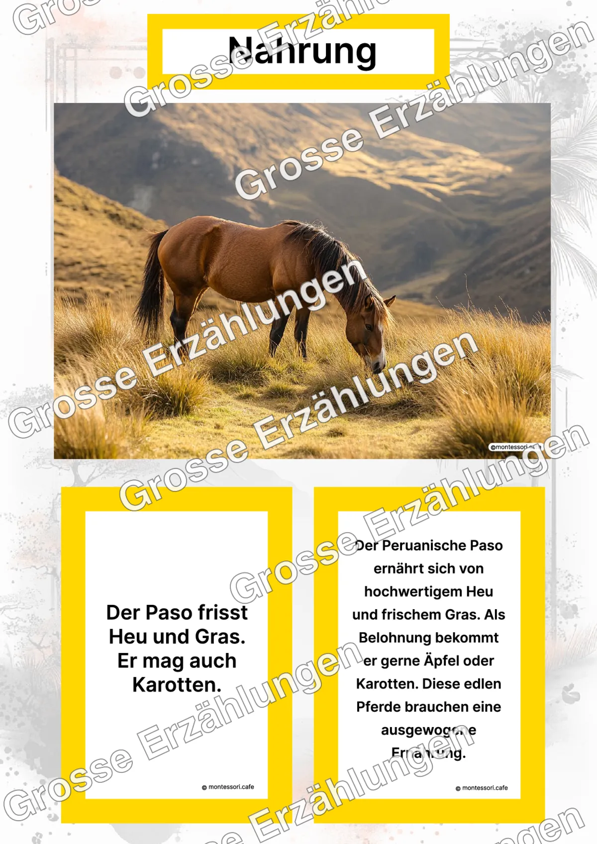 Der Peruanische Paso - Lernkarten - Titelseite und Übersicht des Kommen des Lebens Lernmaterials