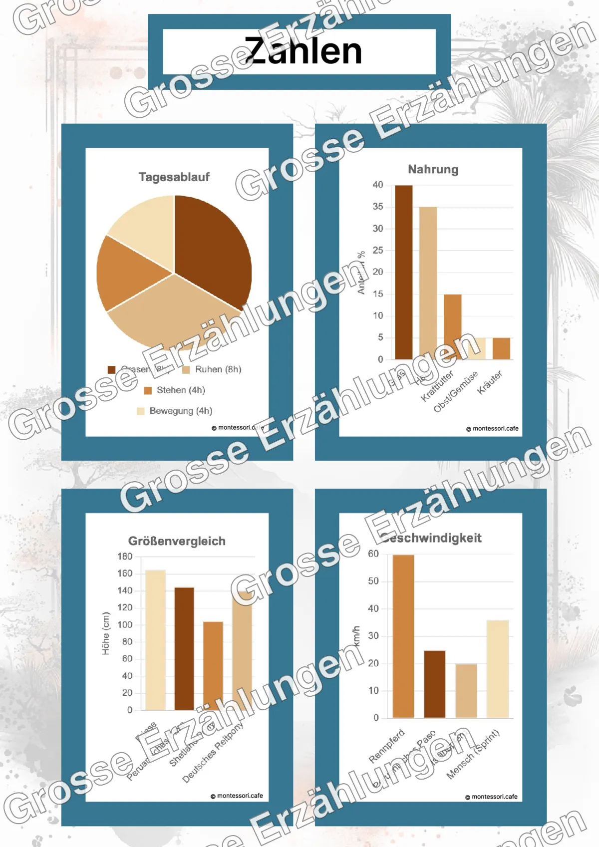 Der Peruanische Paso - Lernkarten - Beispielseite 4 von 5 mit Kommen des Lebens Inhalten