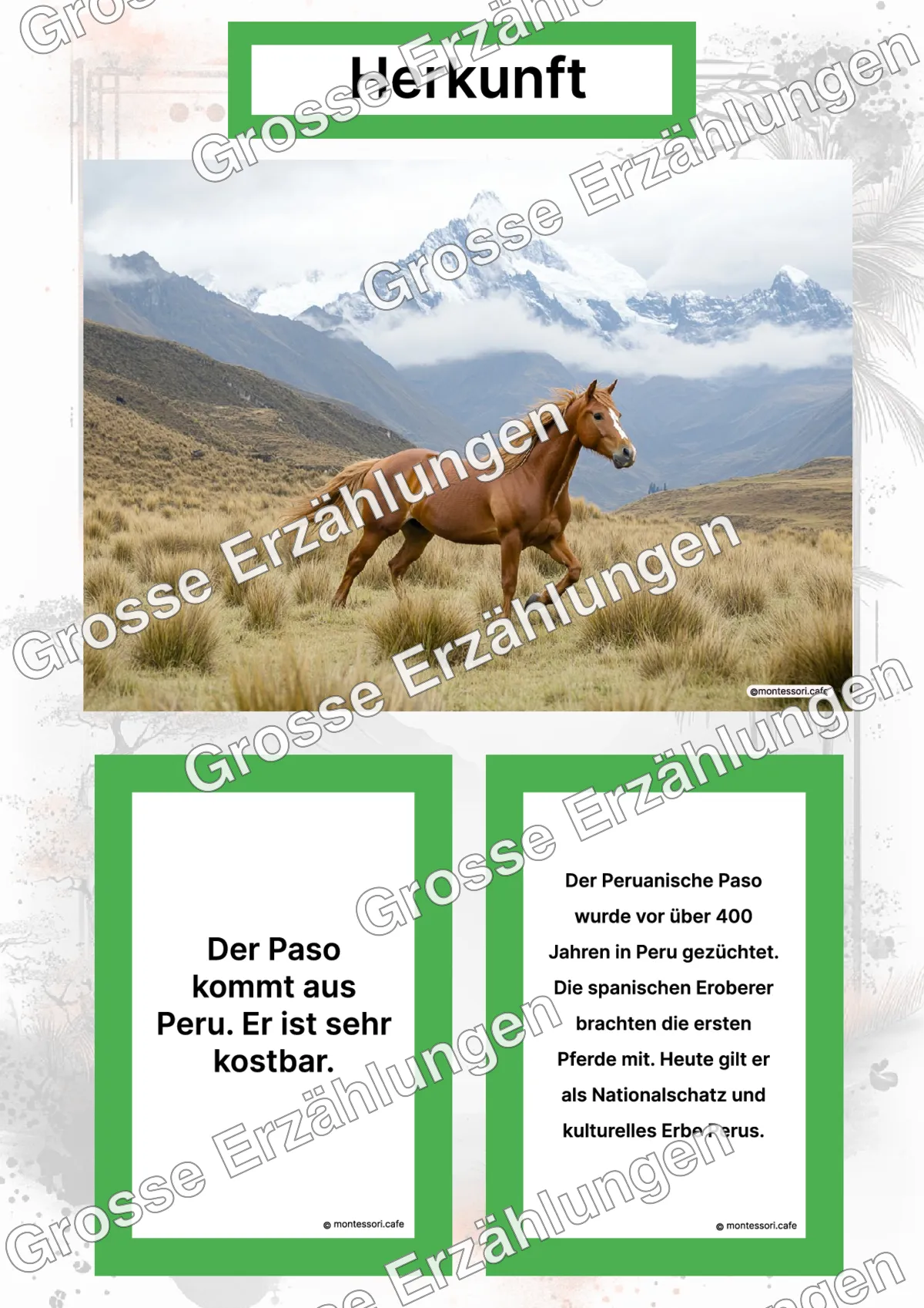 Der Peruanische Paso - Lernkarten - Letzte Vorschauseite des PDF-Downloads