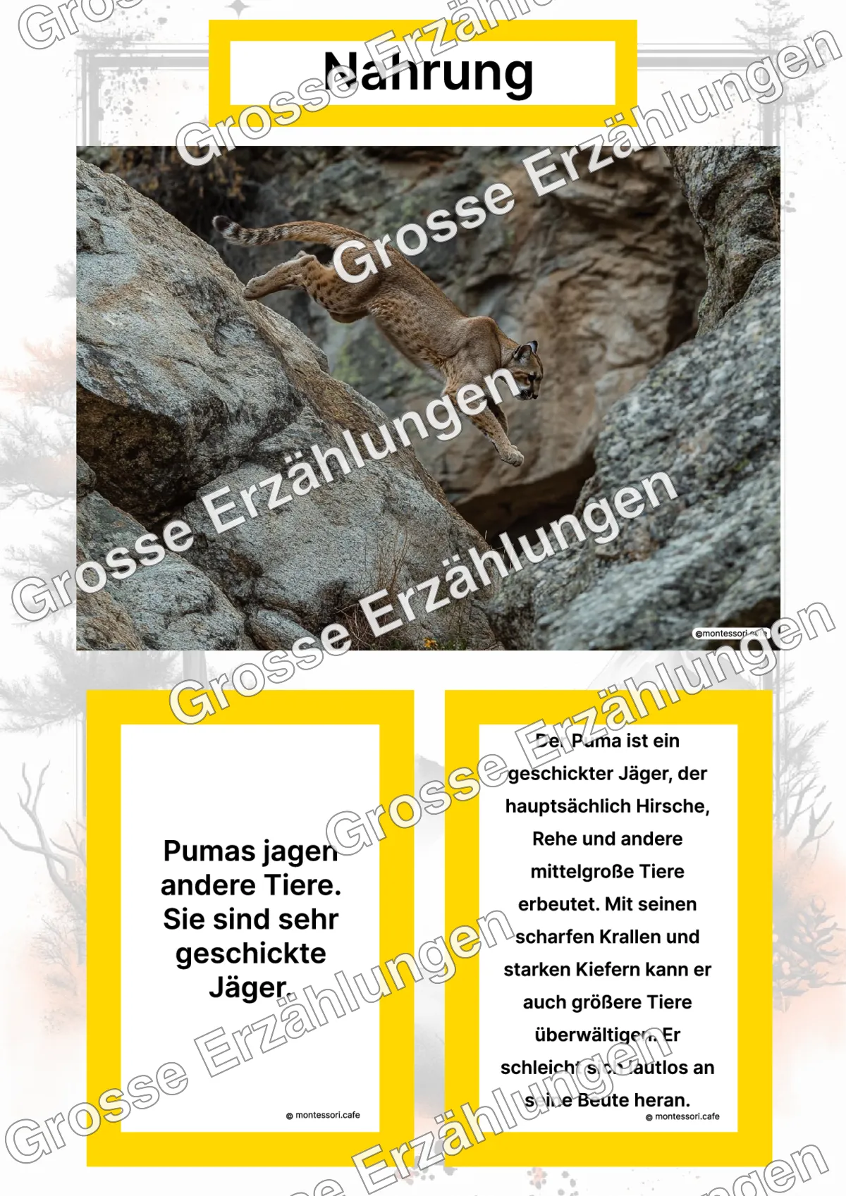 Der Puma - Lernkarten - Titelseite und Übersicht des Kommen des Lebens Lernmaterials