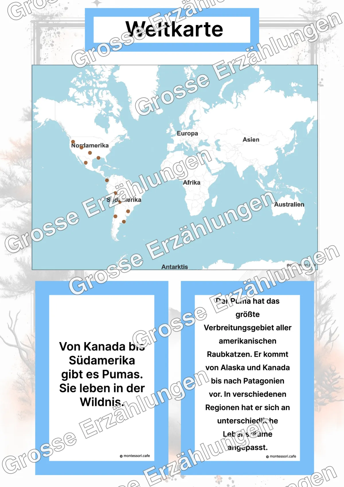 Der Puma - Lernkarten - Inhaltsbeispiel Seite 2 mit Montessori Lehrmaterial