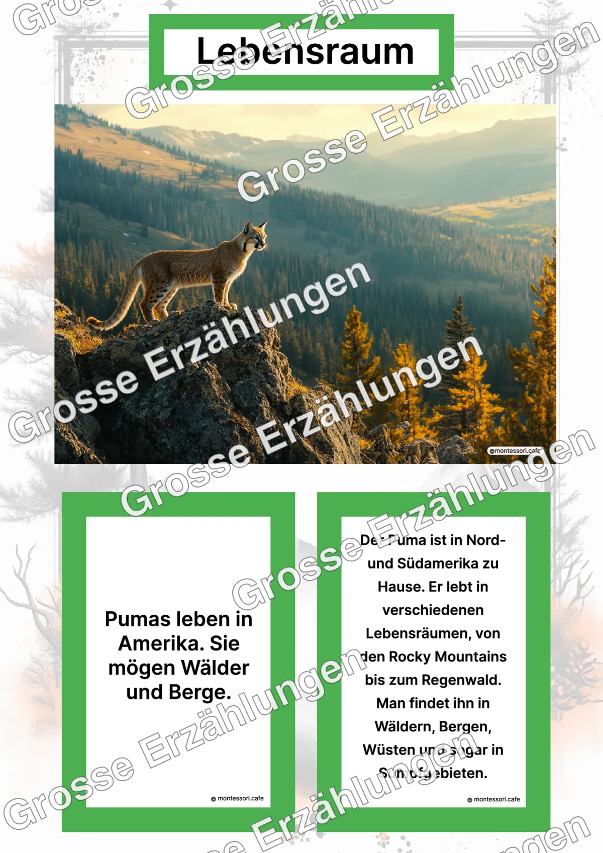 Der Puma - Lernkarten - Letzte Vorschauseite des PDF-Downloads