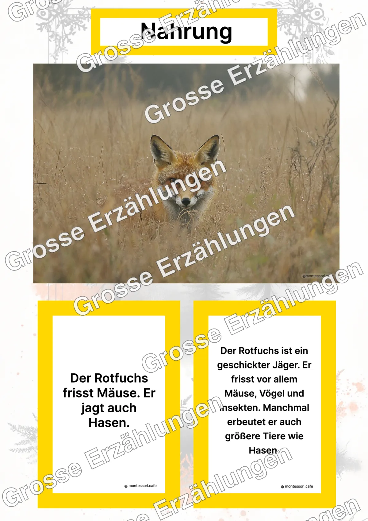 Der Rotfuchs - Lernkarten - Titelseite und Übersicht des Kommen des Lebens Lernmaterials