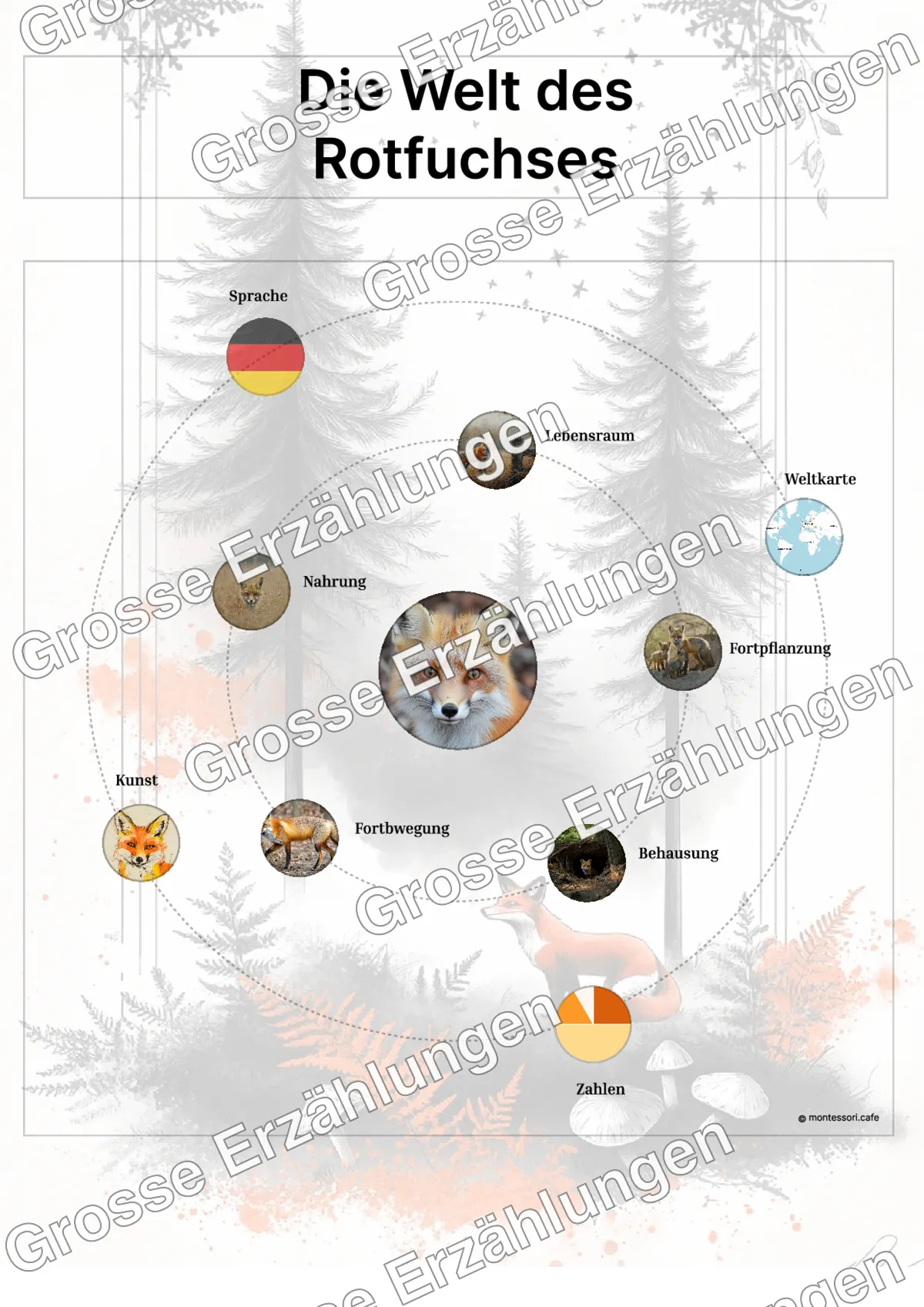 Der Rotfuchs - Lernkarten - Beispielseite 3 von 5 mit Kommen des Lebens Inhalten