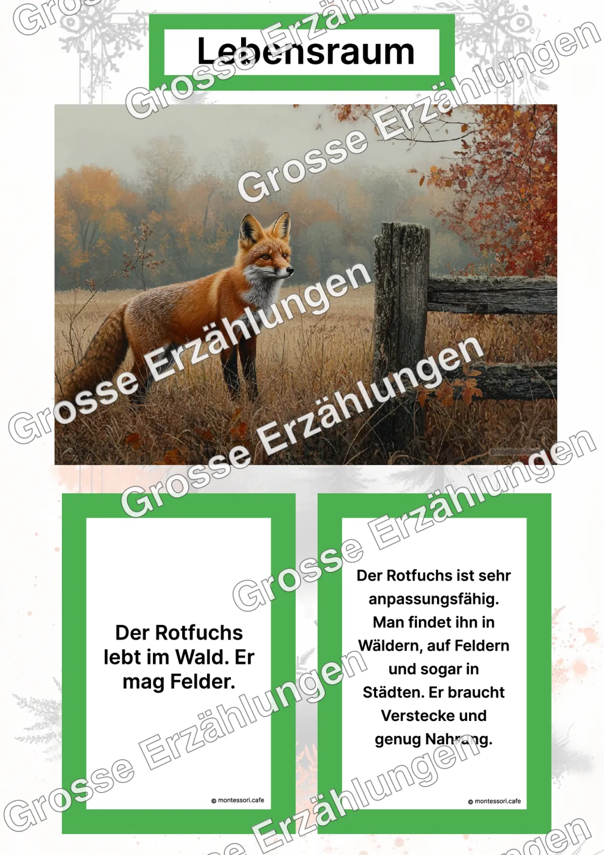 Der Rotfuchs - Lernkarten - Letzte Vorschauseite des PDF-Downloads