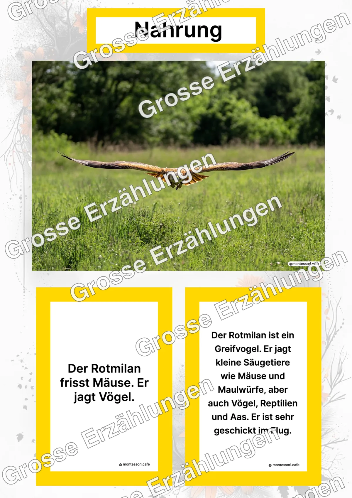 Der Rotmilan - Lernkarten - Titelseite und Übersicht des Kommen des Lebens Lernmaterials