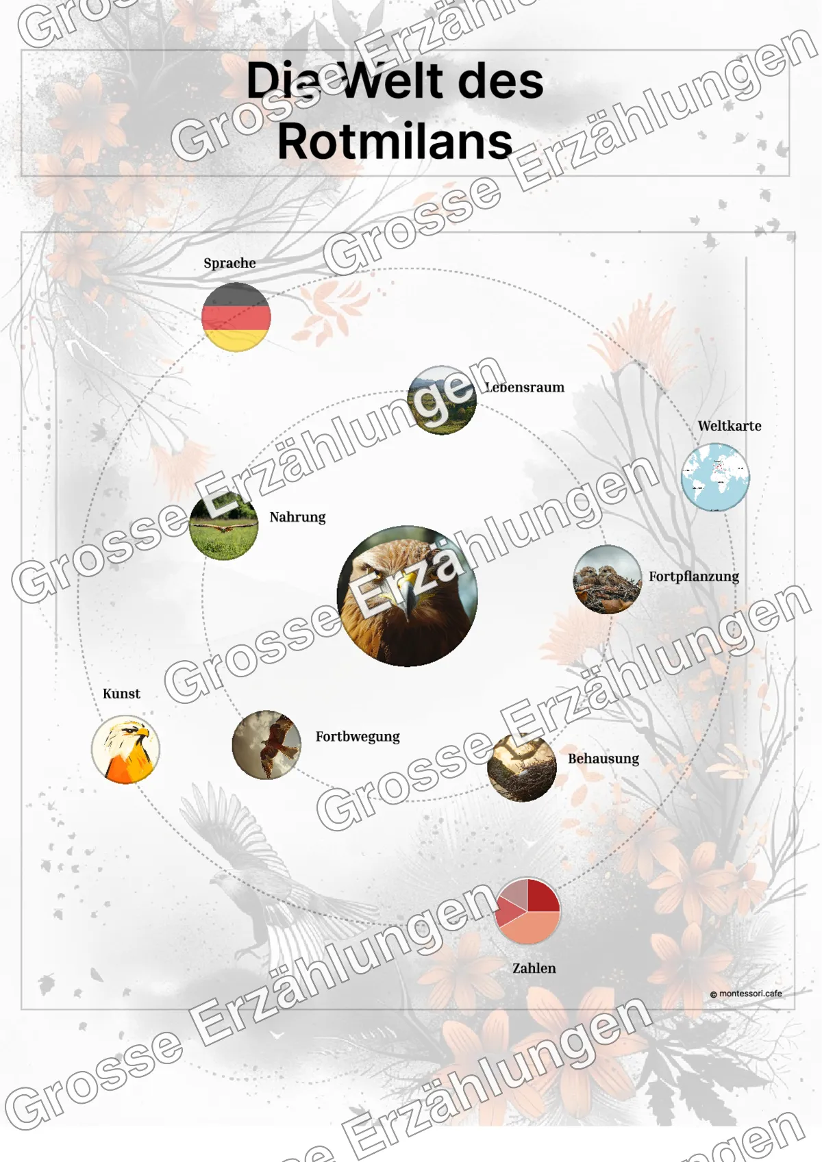 Der Rotmilan - Lernkarten - Beispielseite 3 von 5 mit Kommen des Lebens Inhalten