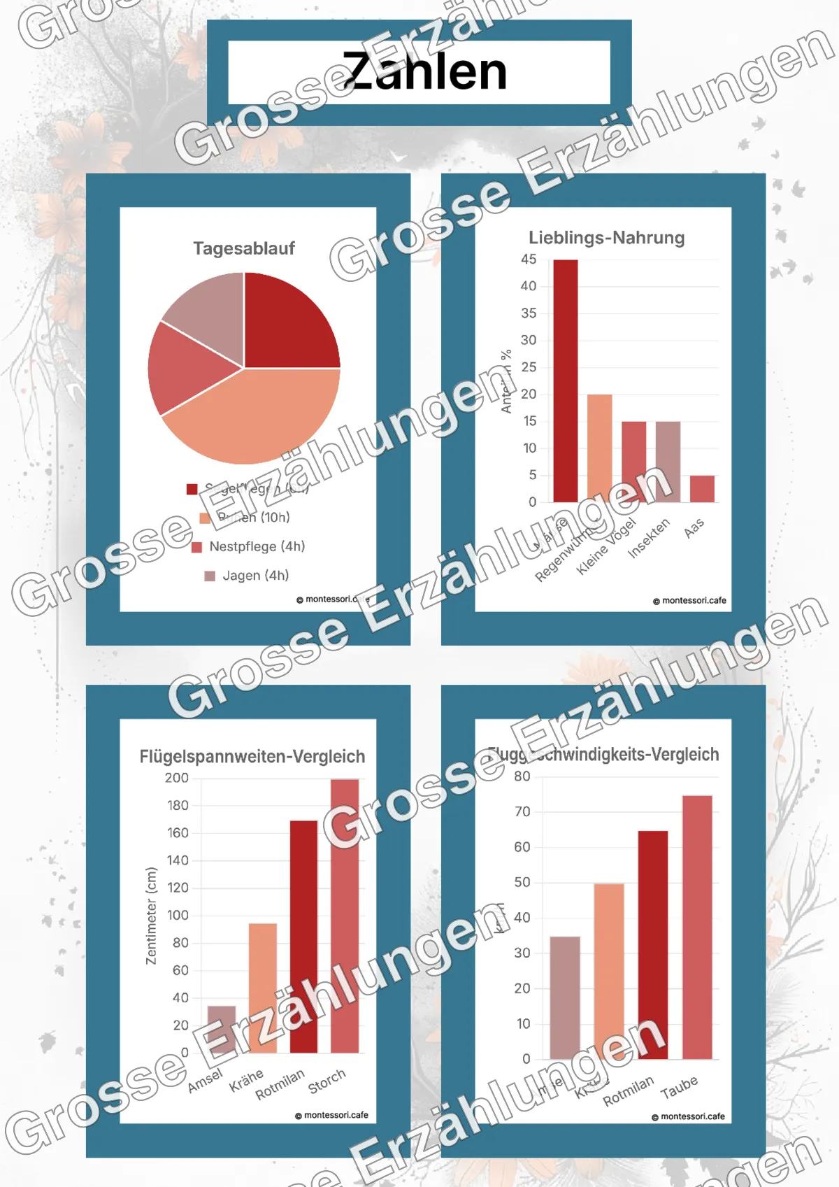 Der Rotmilan - Lernkarten - Beispielseite 4 von 5 mit Kommen des Lebens Inhalten