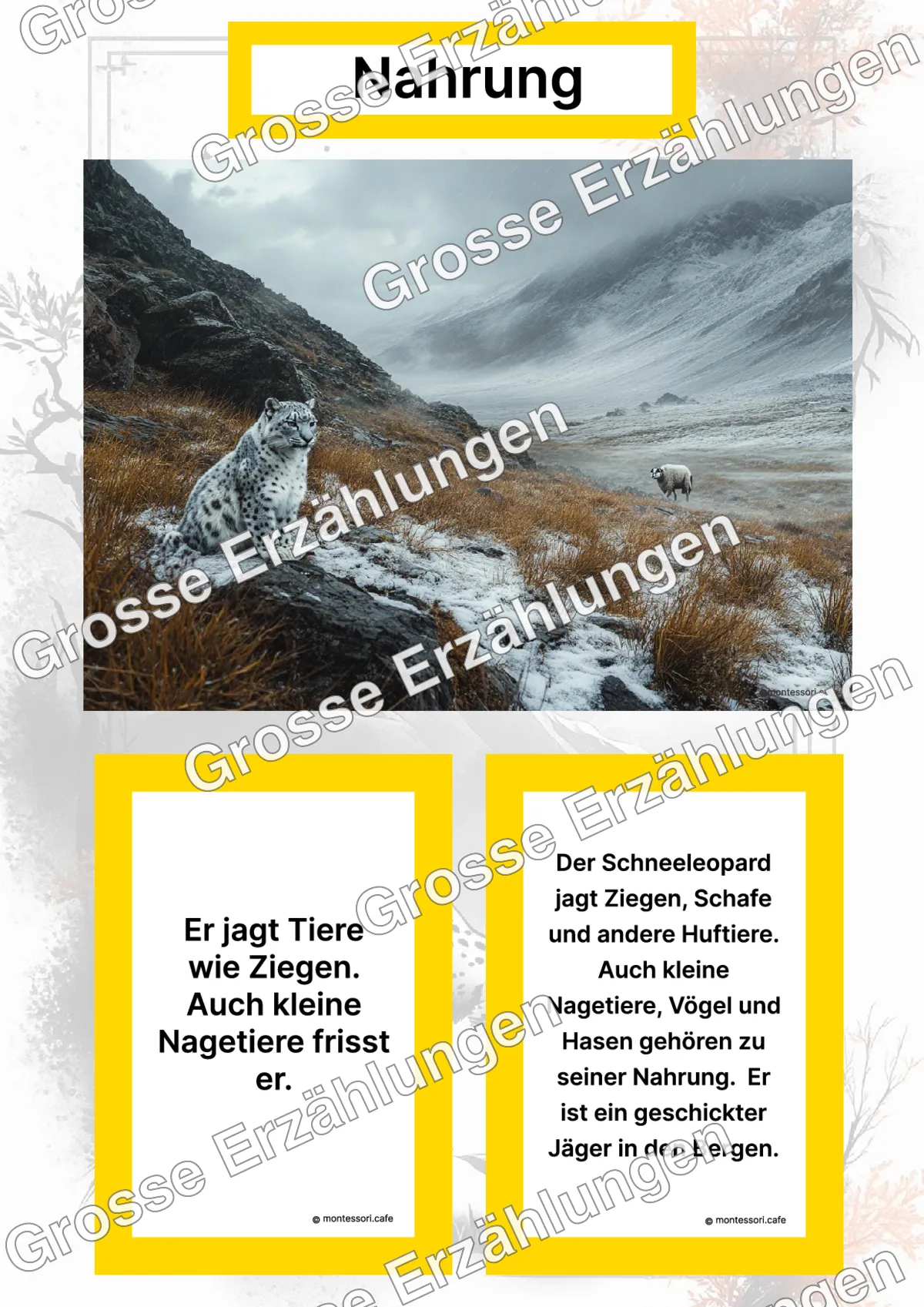 Der Schneeleopard - Lernkarten - Titelseite und Übersicht des Kommen des Lebens Lernmaterials